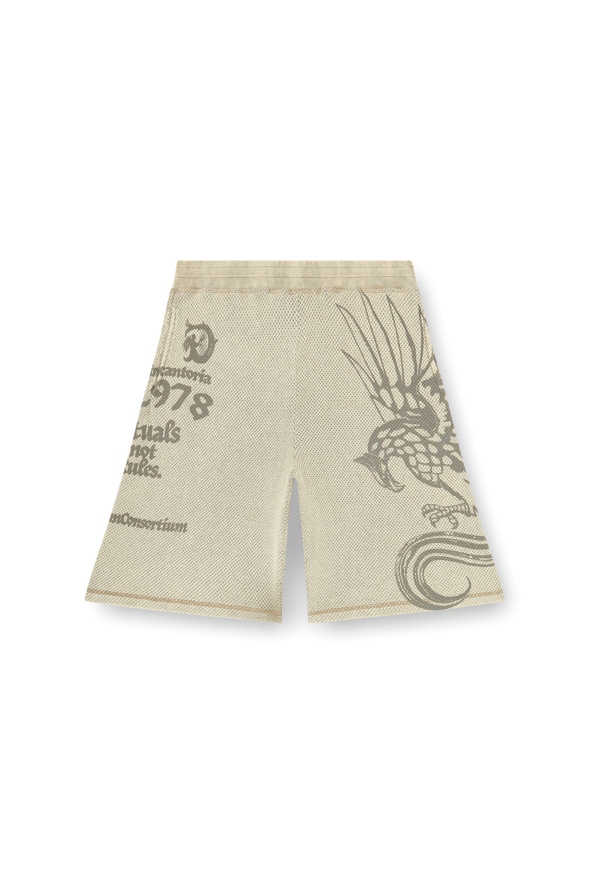 Diesel - P-ERRY, Male's Mesh cotton sweatshorts with prints in Beige - 2