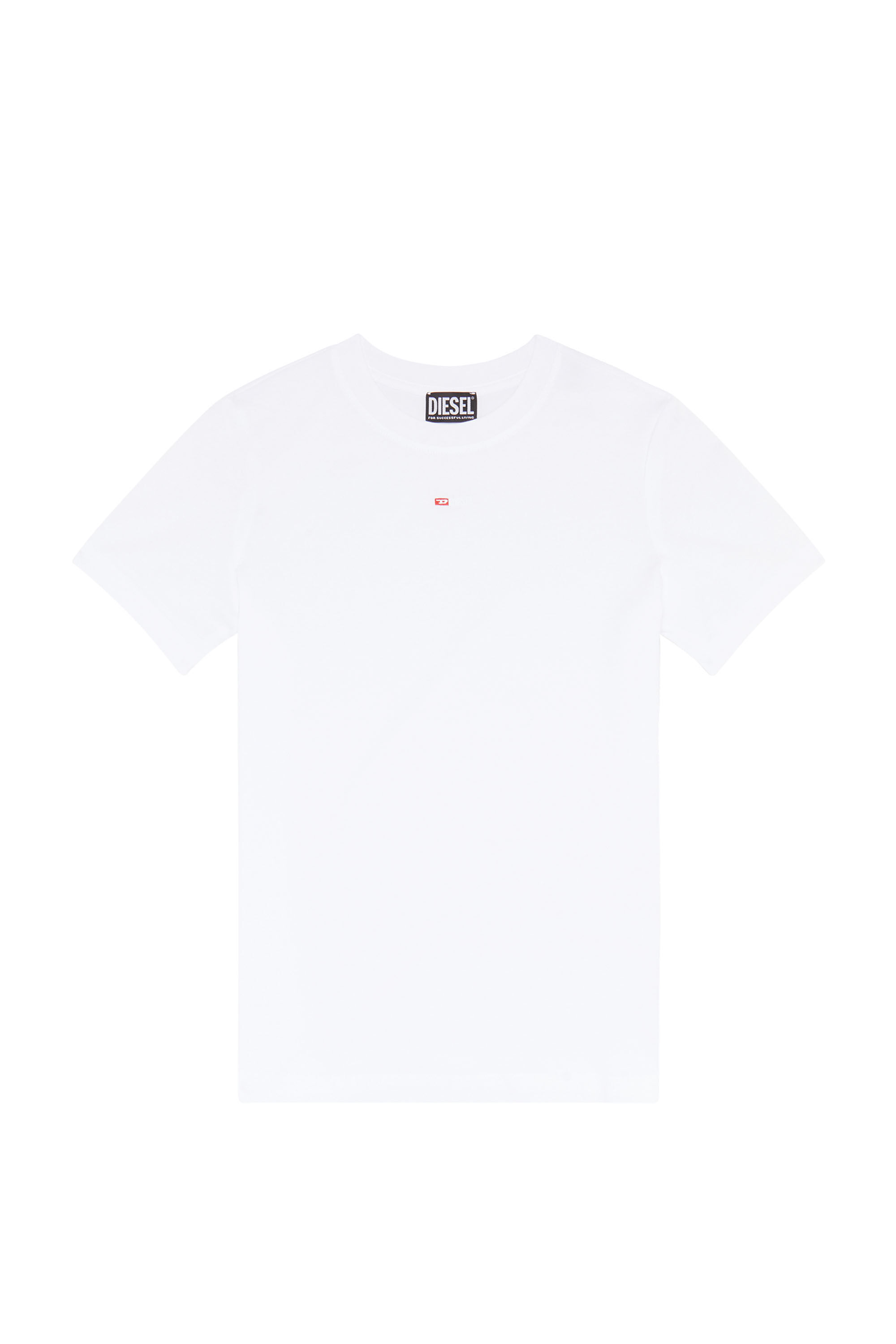 T-REG-MICRODIV, 