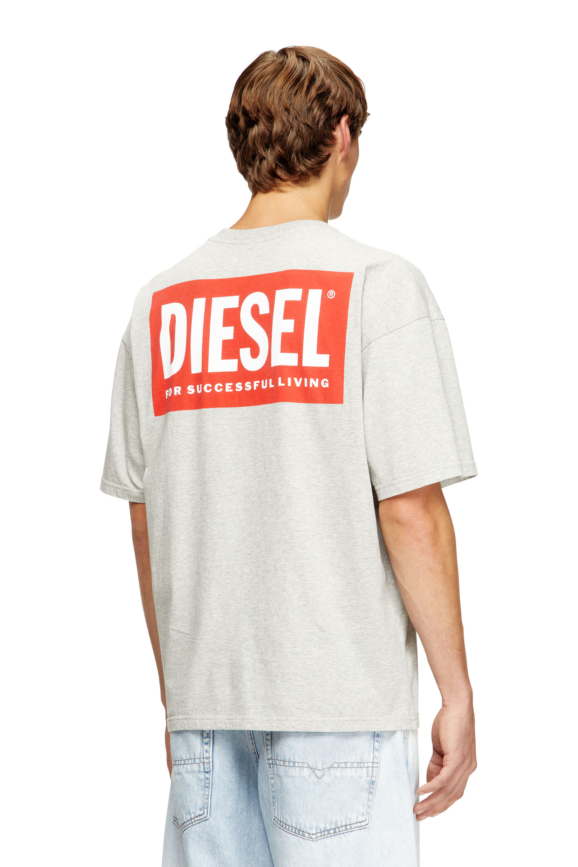 Diesel - T-BOXT-BISK, Man's Cotton T-shirt with Diesel Biscotto print in Light Grey - 4