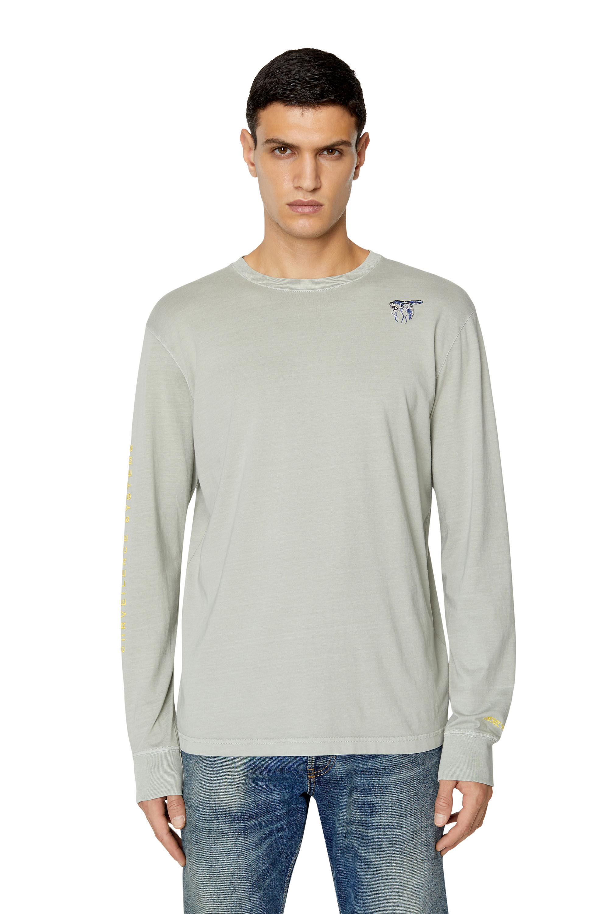 Diesel - T-JUST-LS-E10, T-shirt à manches longues avec mouche brodée Homme in Gris - 3