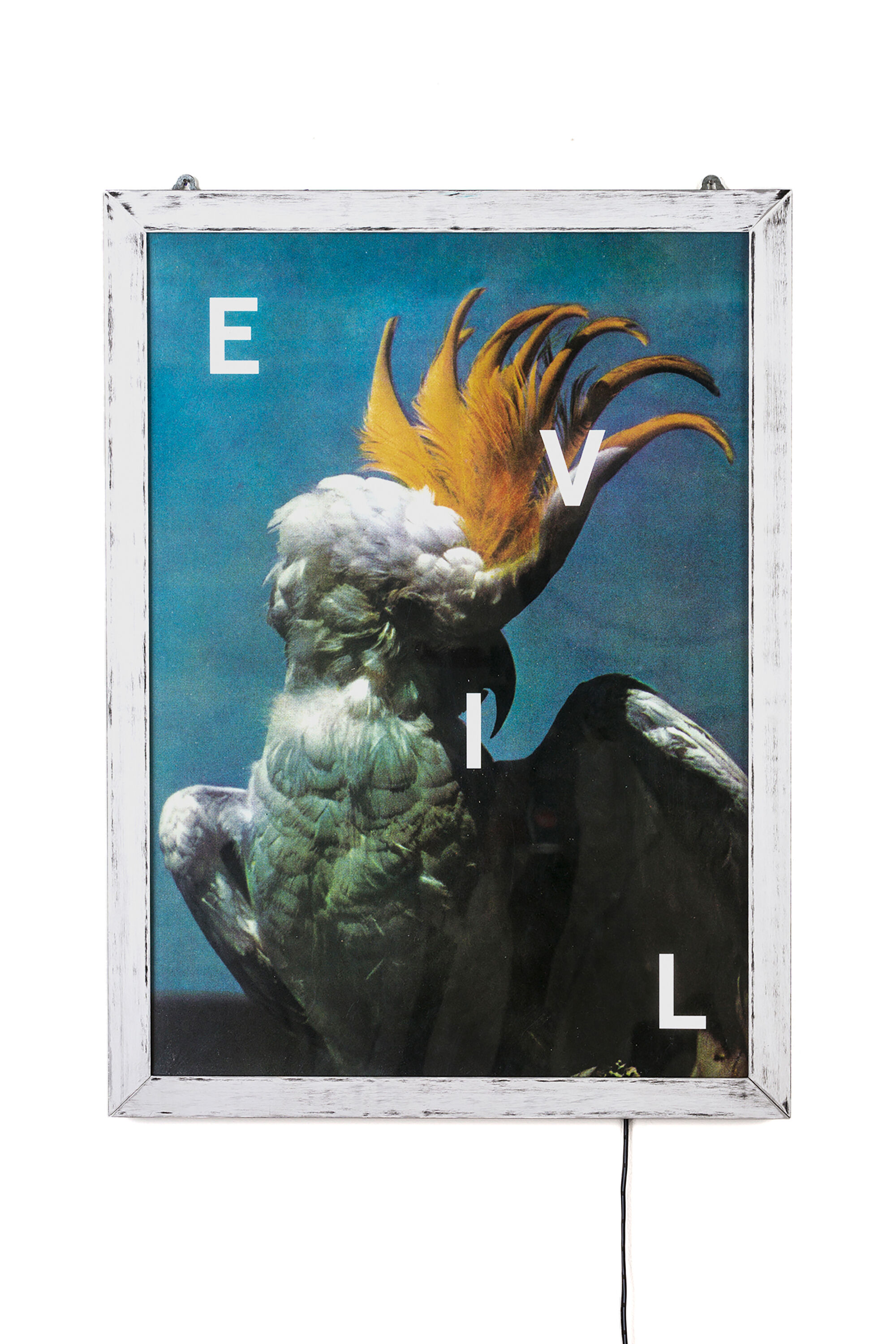Diesel - 11021 FRAME IT!, Poster "Evil" Unisex in Blanco - 1