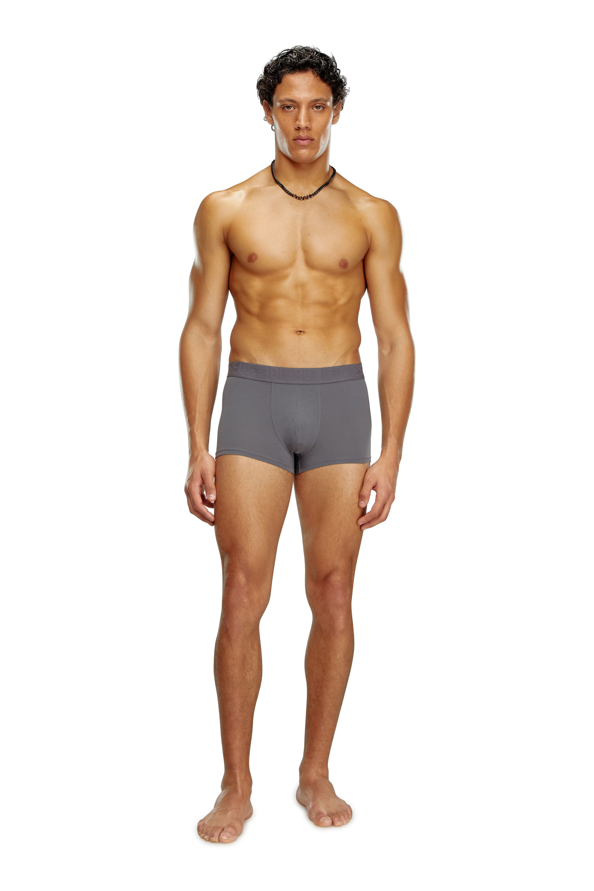 Diesel - UMBX-DAMIENTHREEPACK, Male's Three-pack monochrome boxer briefs in Grey/Blue - 2