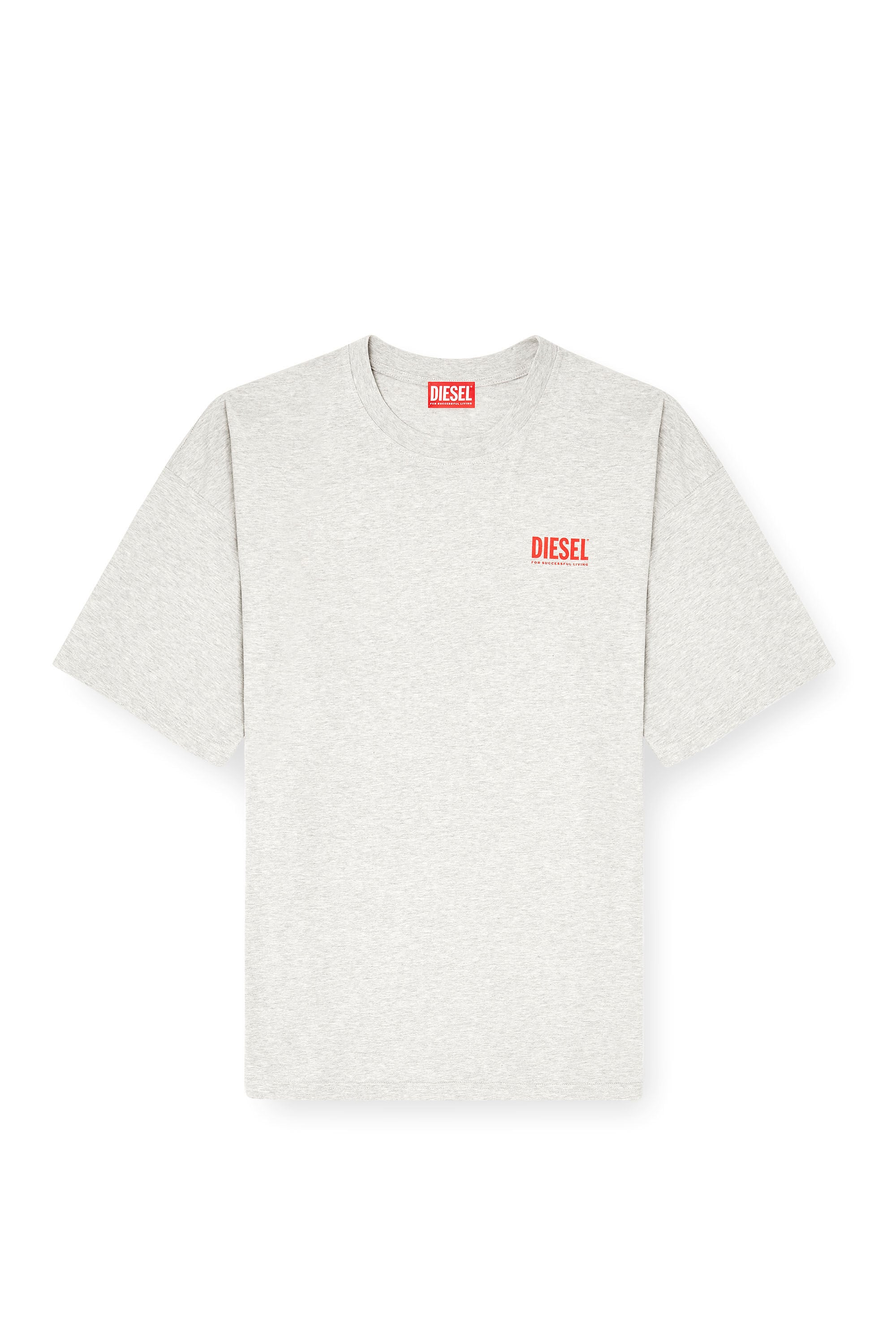 Diesel - T-BOXT-BISK, Male's Cotton T-shirt with Diesel Biscotto print in Light Grey - 2