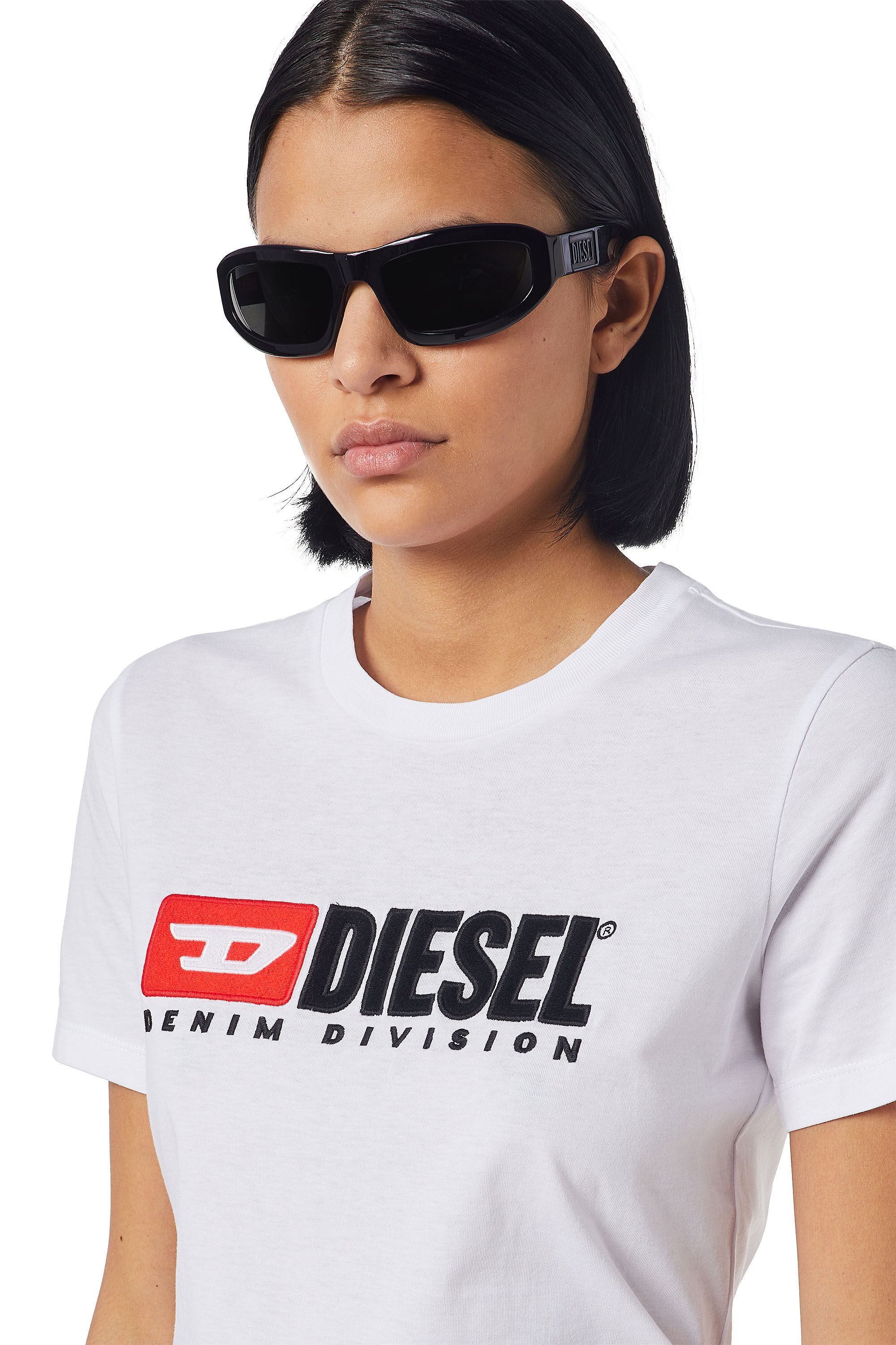 T-REG-DIV, 