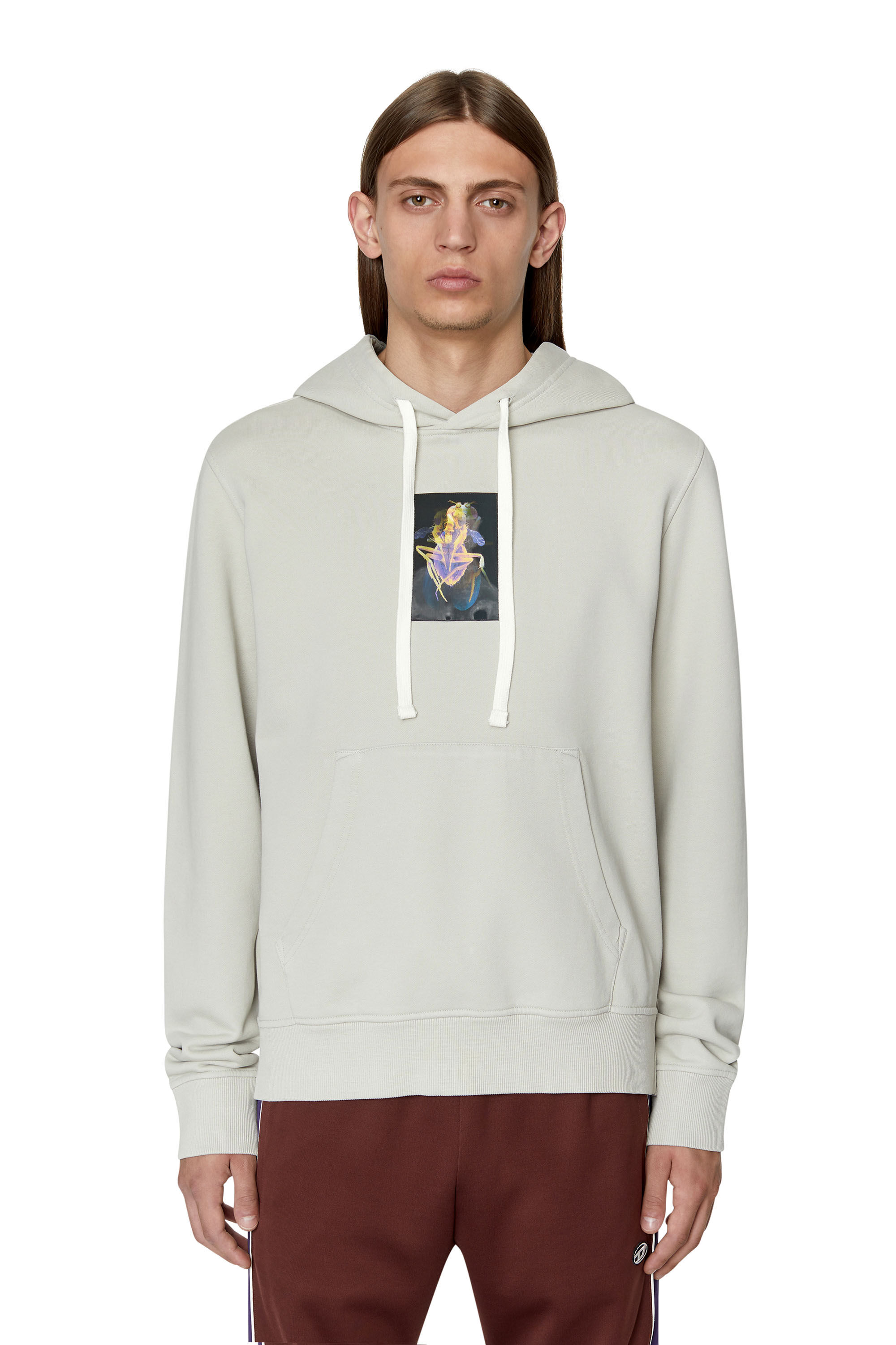 Diesel - S-GINN-HOOD-E2, Male's Hoodie with lenticular fly patch in Grey - 3