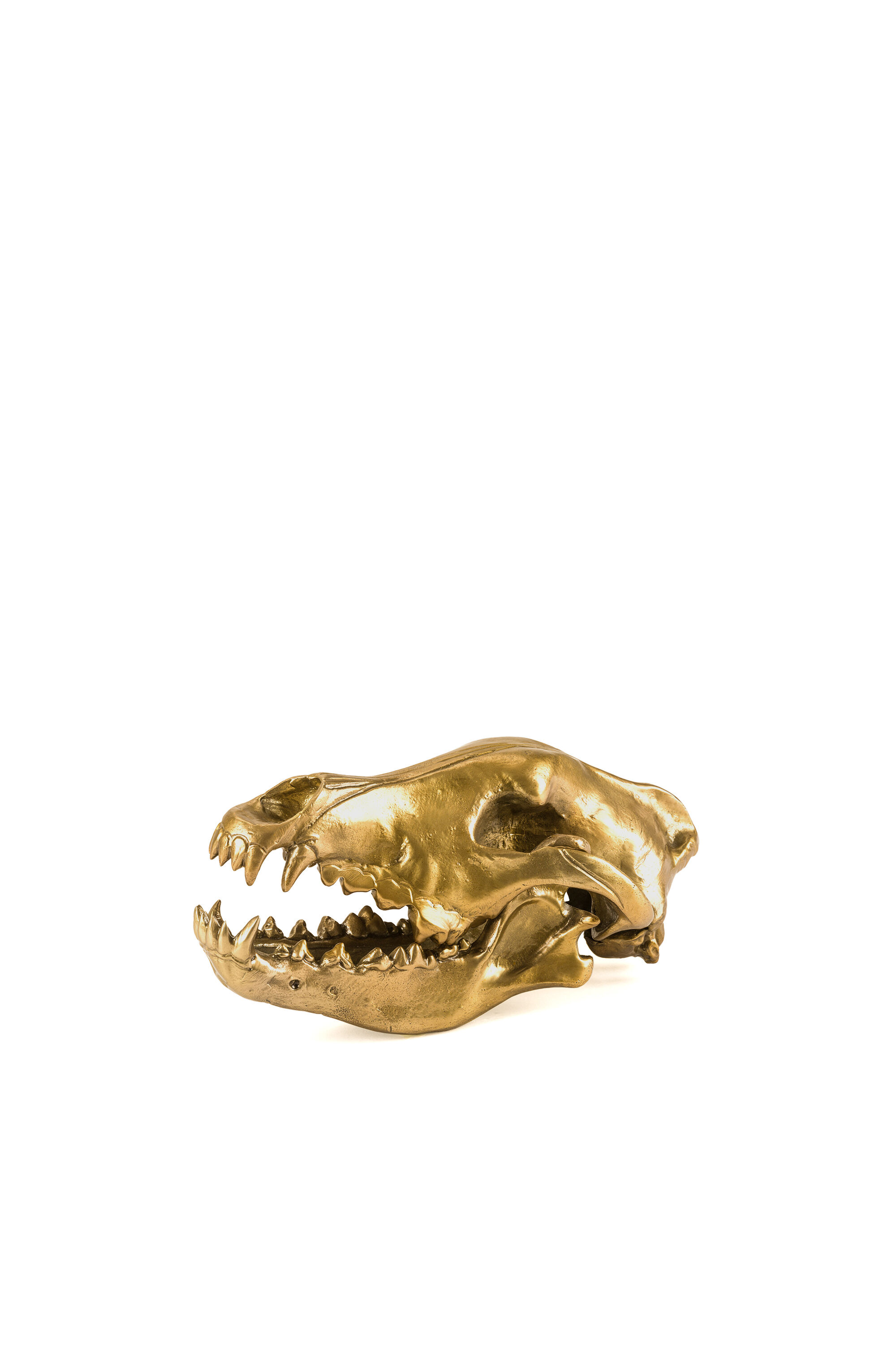 Diesel - 10892 Wunderkammer, "Wolf This Way" Wunderkammer Wolf Skull Mixte in Doré - 3