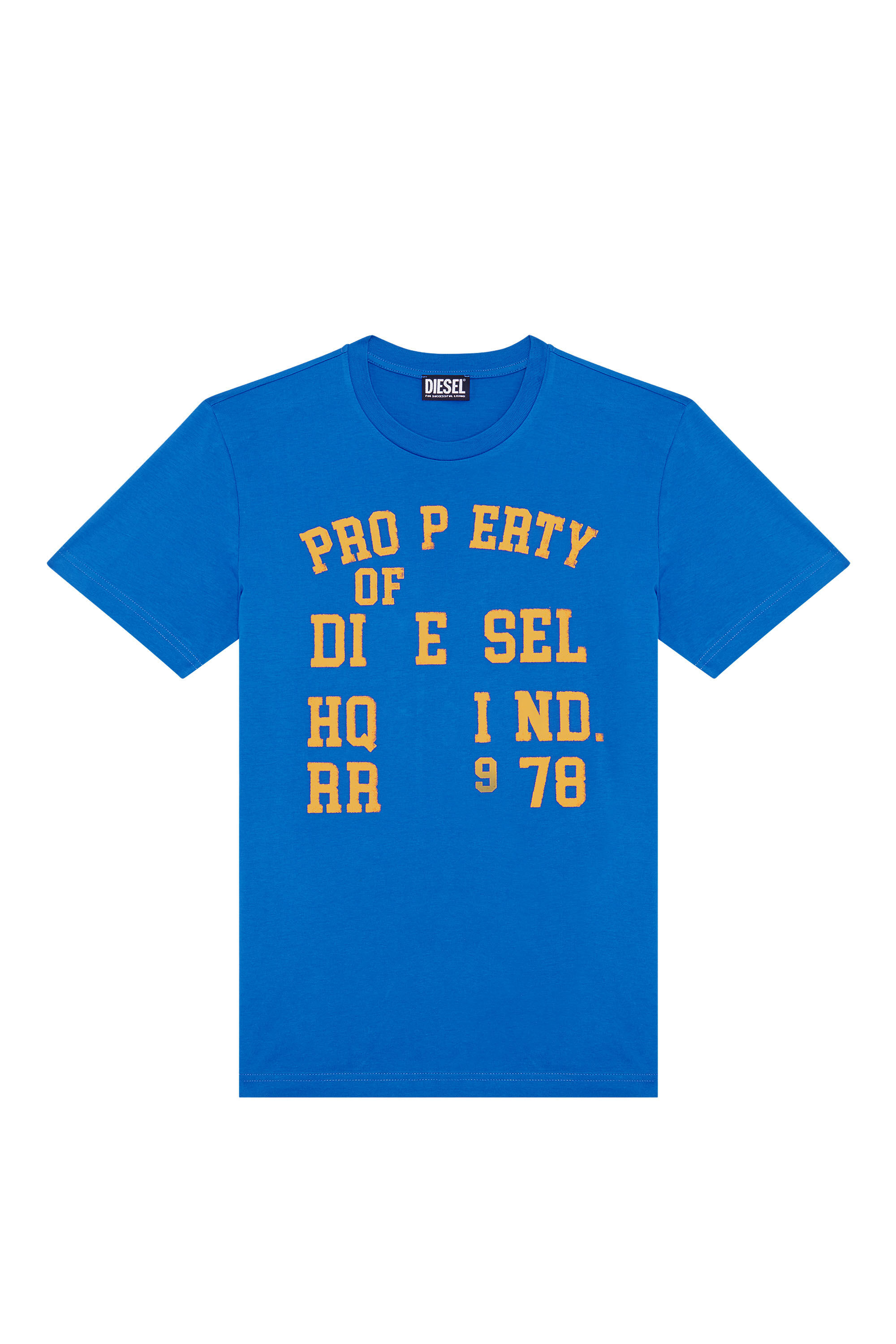 Men's T-shirt with Property of Diesel print | Blue | Diesel