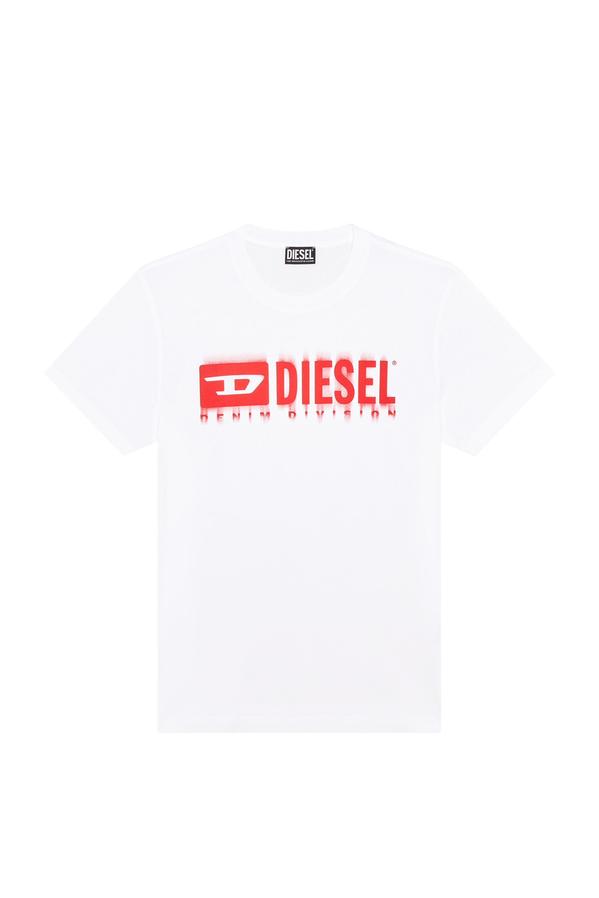 Diesel - T-DIEGOR-L6, Man's T-shirt with smudged logo print in White - 2