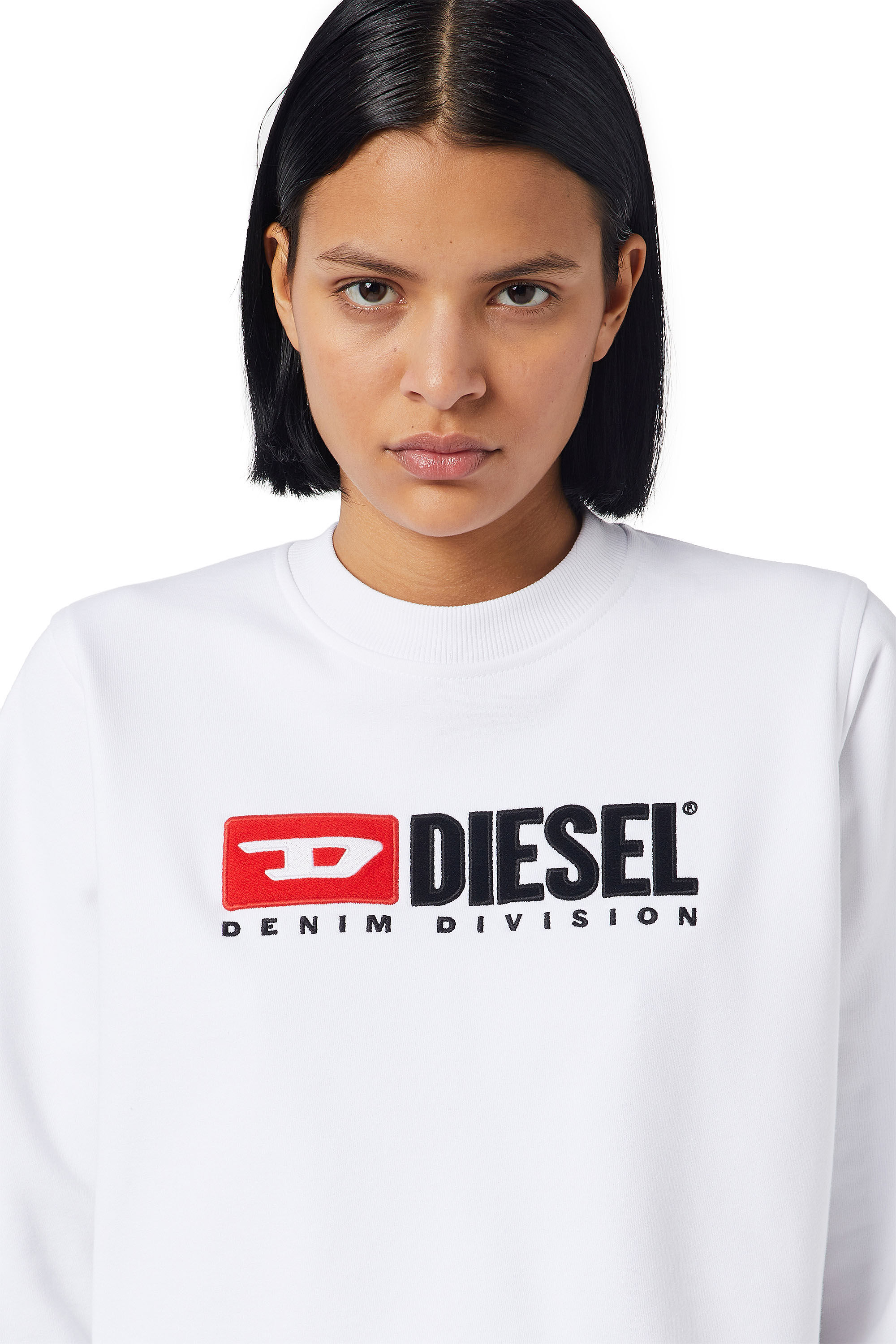 F-REGGY-DIV, 