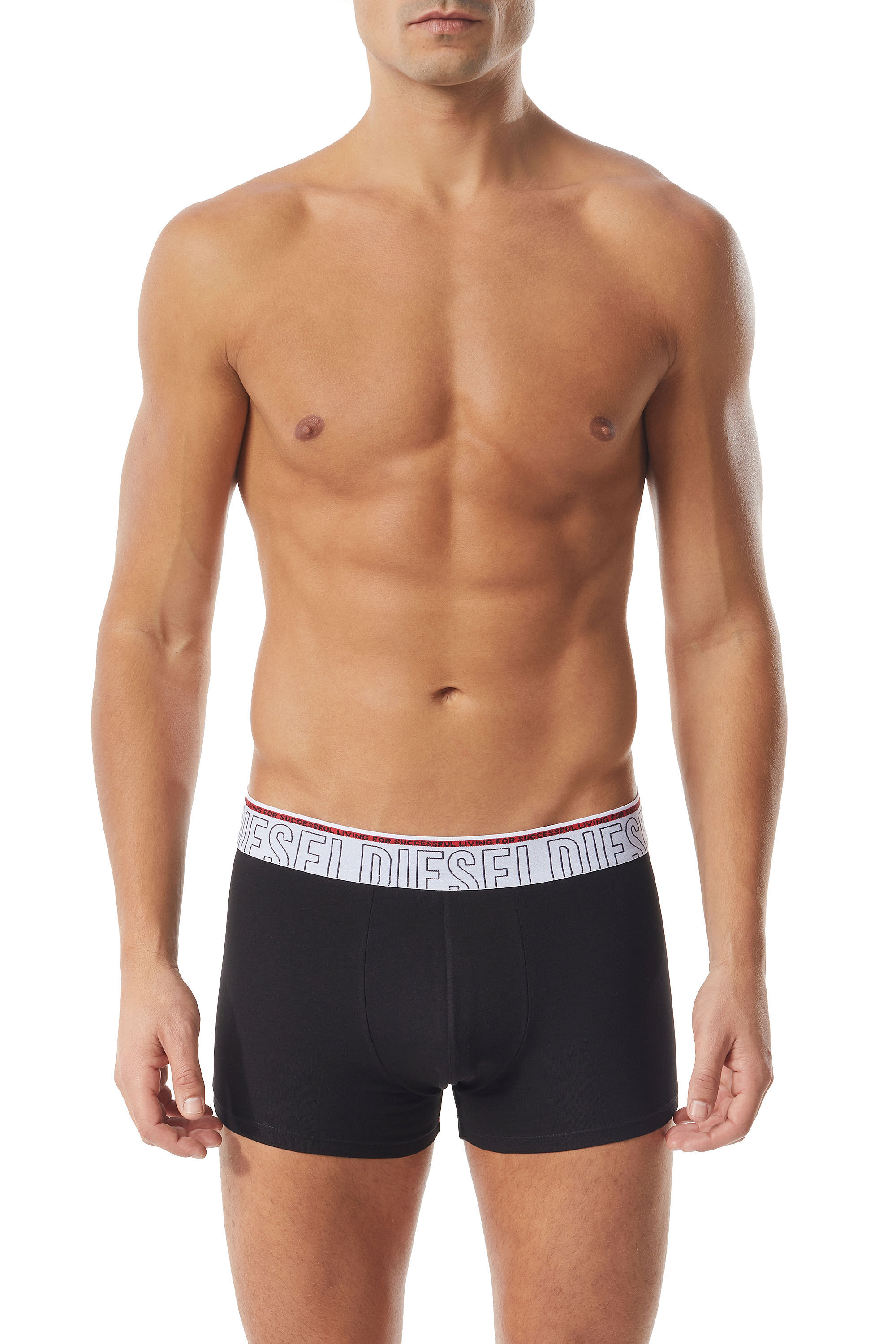 Diesel - UMBX-DAMIENTHREEPACK, Male's Three-pack boxer briefs with outline logo in Black/White - 1