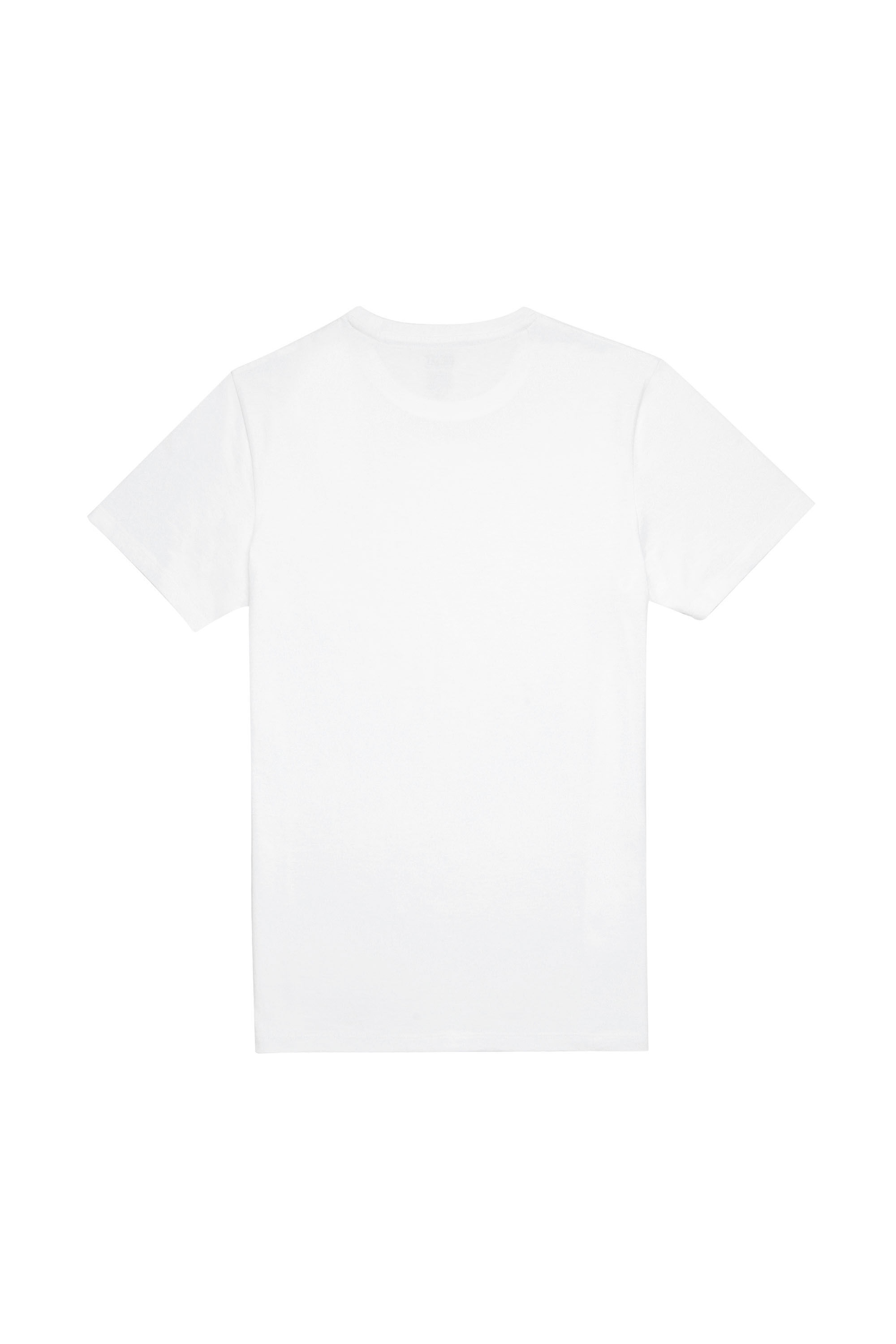 Diesel - UMTEE-RANDAL-TUBE-TWOPACK, Male's Two-pack of T-shirts with D patch in Black/White - 3