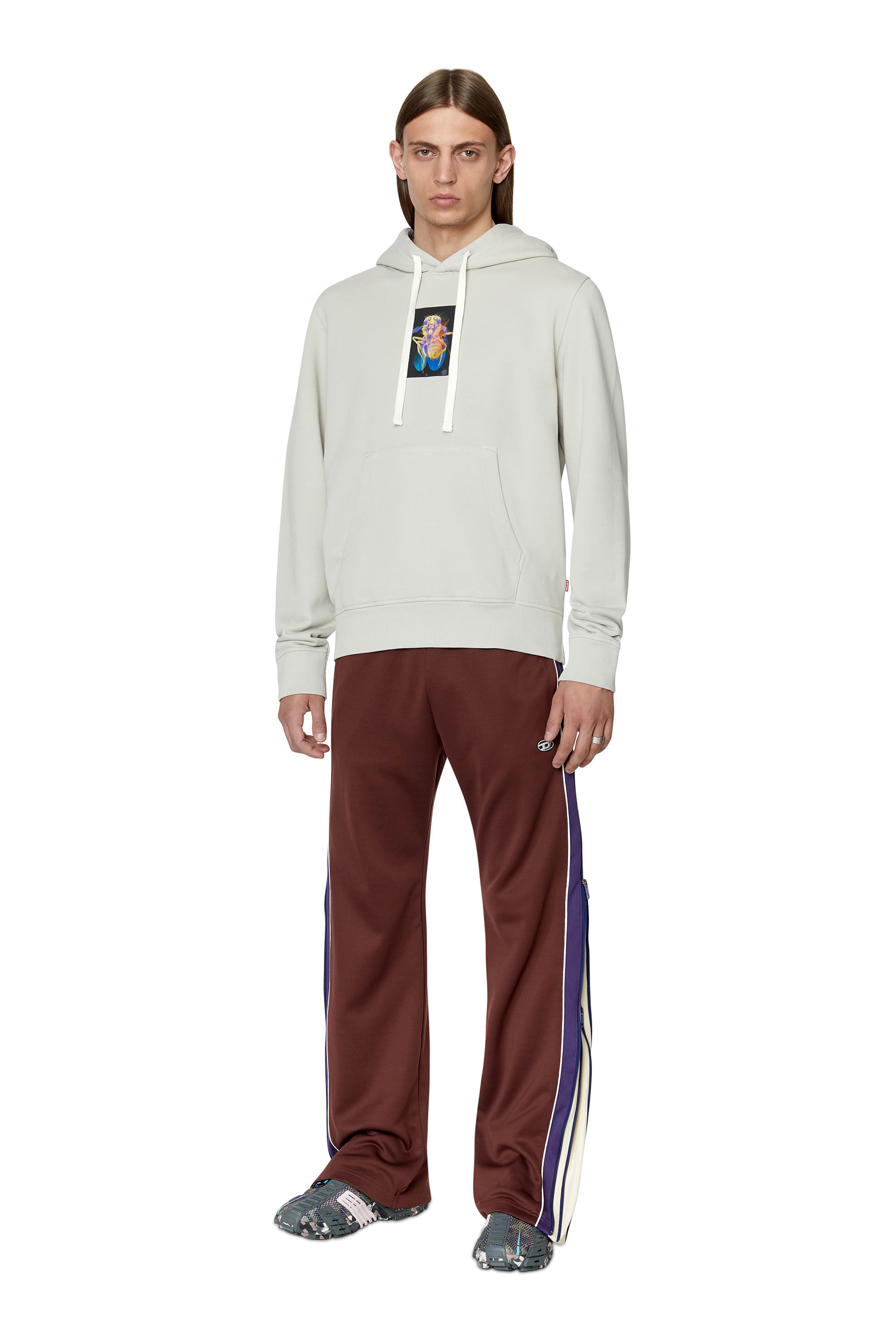 Diesel - S-GINN-HOOD-E2, Male's Hoodie with lenticular fly patch in Grey - 1