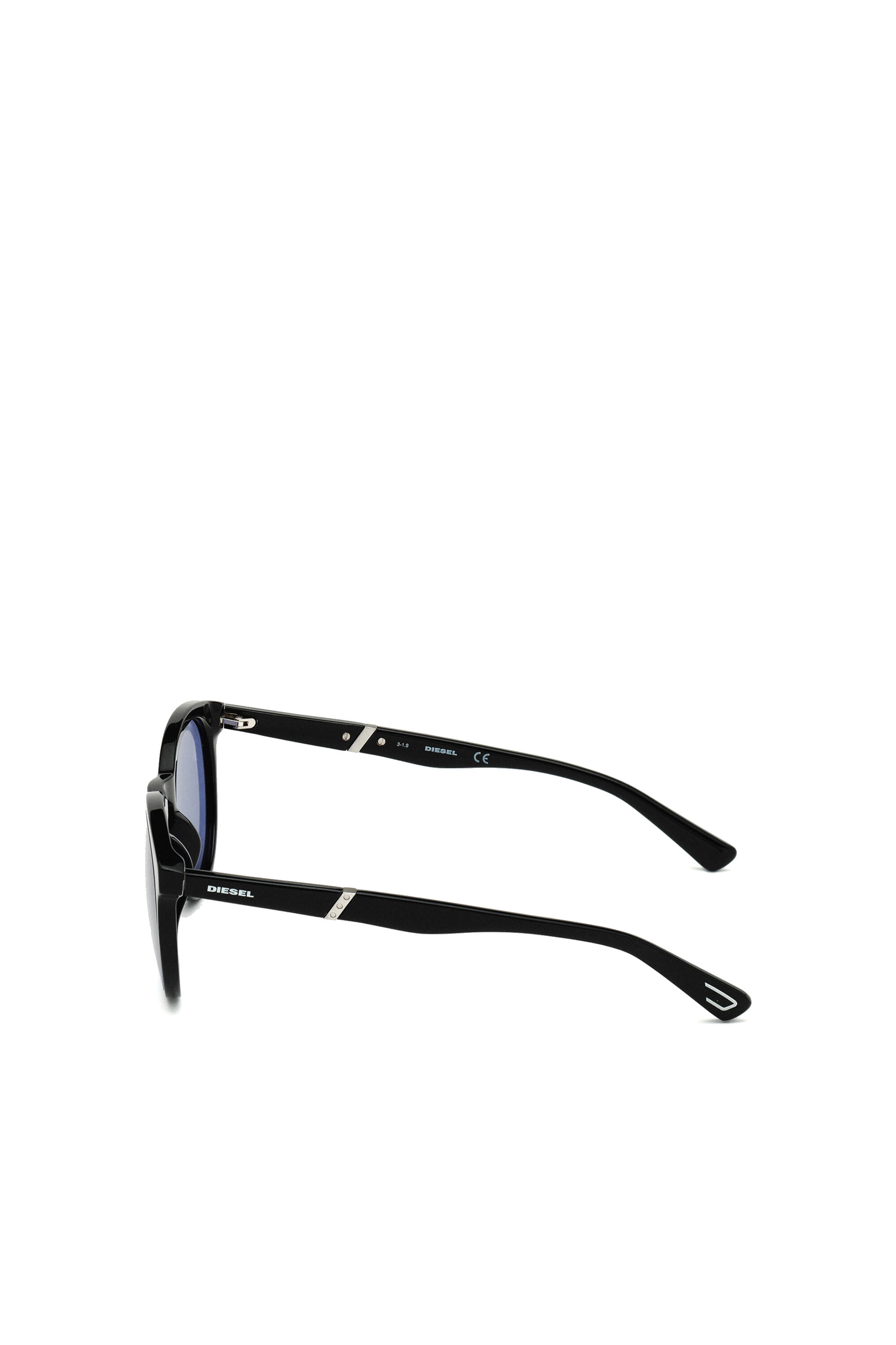 DL0310: Unisex sunglasses with rounded silhouette | Diesel {{Country}}