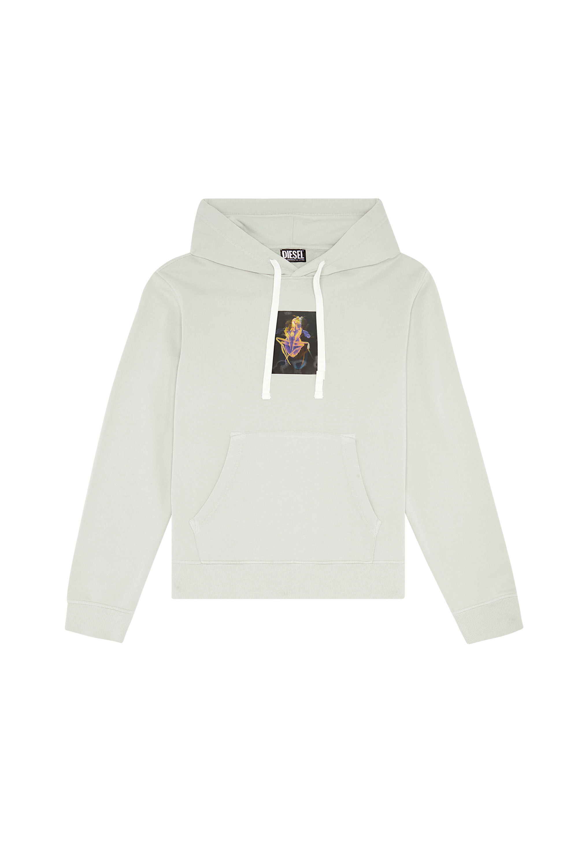 Diesel - S-GINN-HOOD-E2, Male's Hoodie with lenticular fly patch in Grey - 2