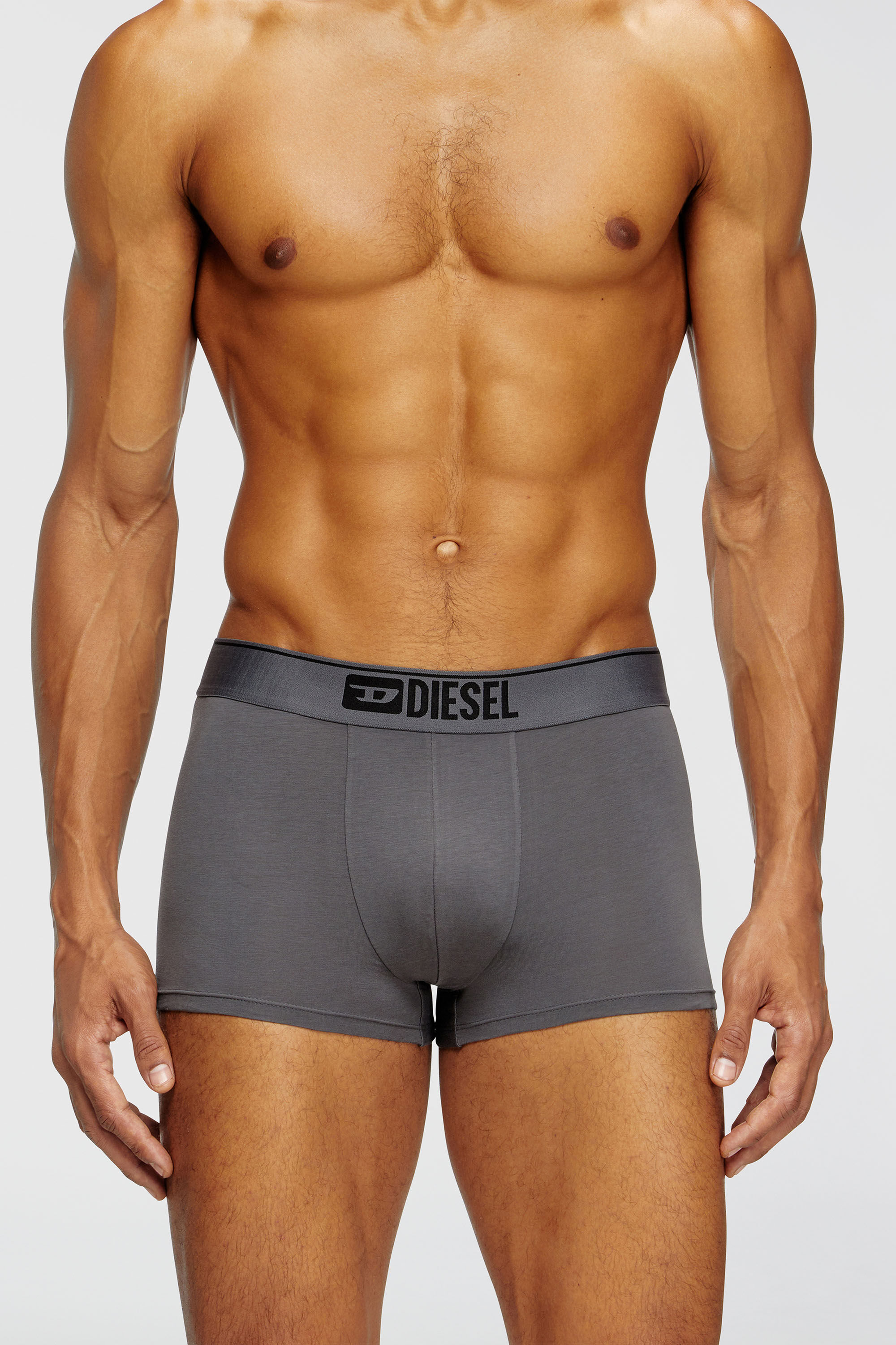 Diesel - UMBX-DAMIENTHREEPACK, Man's Three-pack of plain boxer briefs in Black/Grey - 1