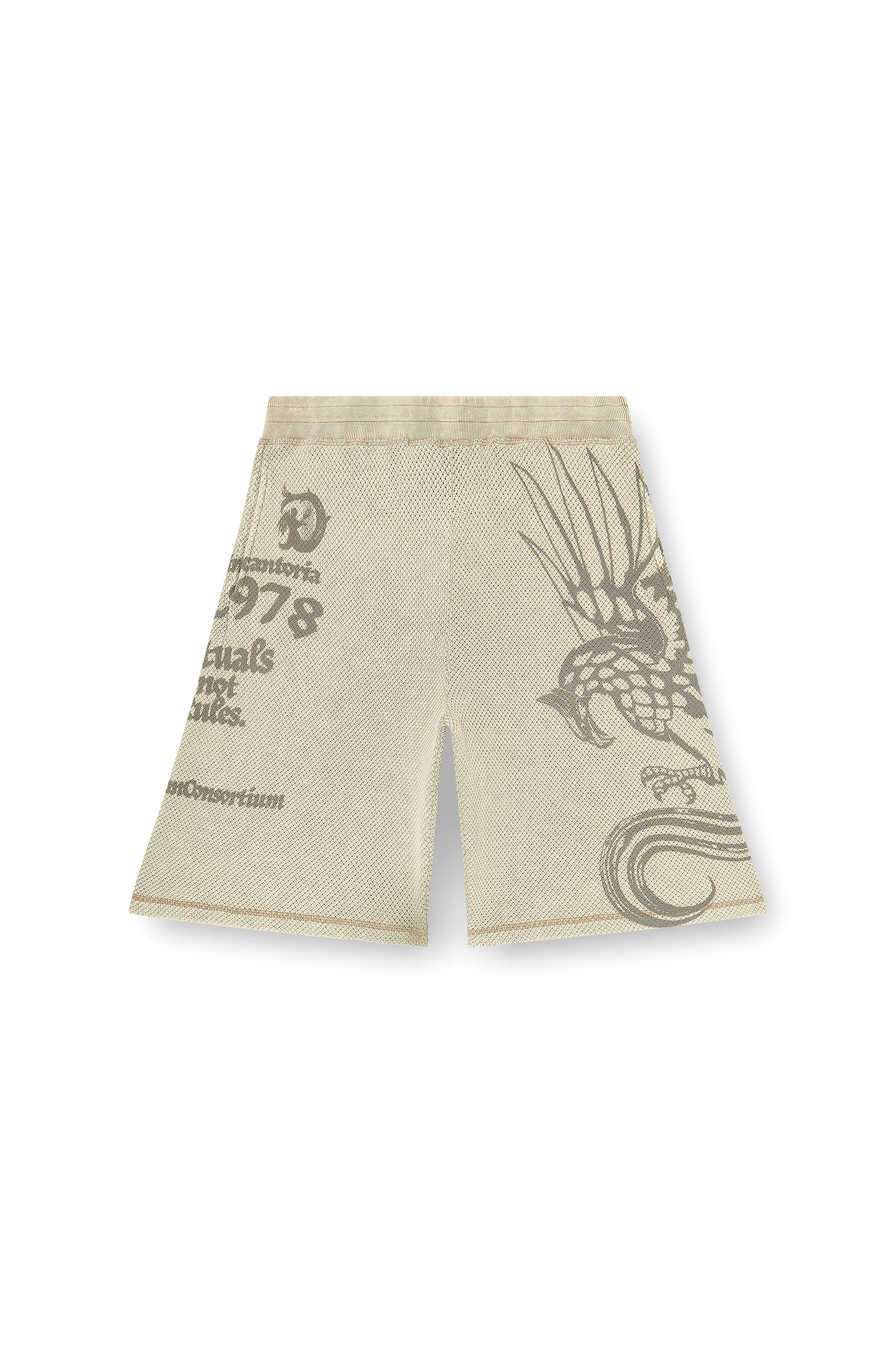 Diesel - P-ERRY, Male's Mesh cotton sweatshorts with prints in Beige - 4