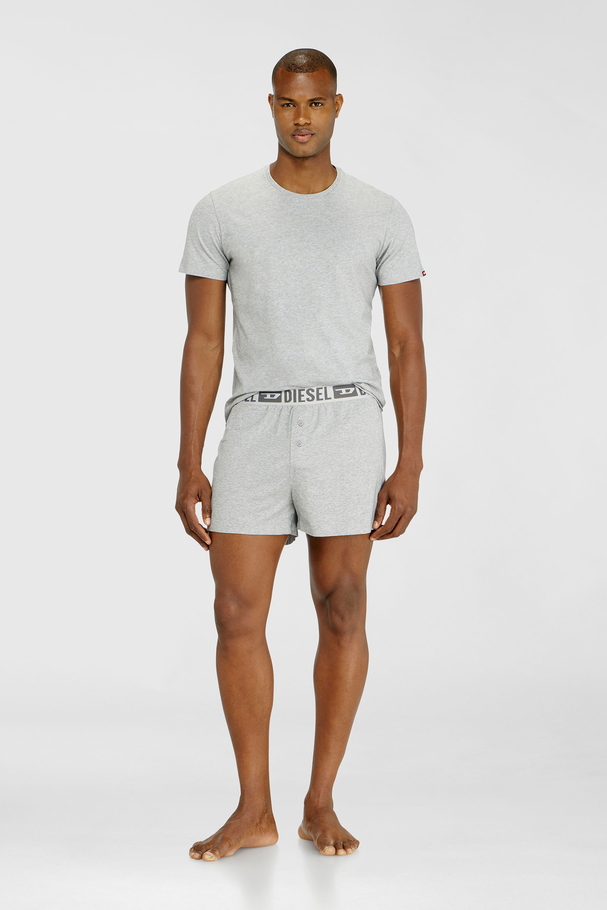 Diesel - STARKIE-D-CORE-2PACK, Male's Two-pack boxer shorts in stretch cotton in Grey - 2