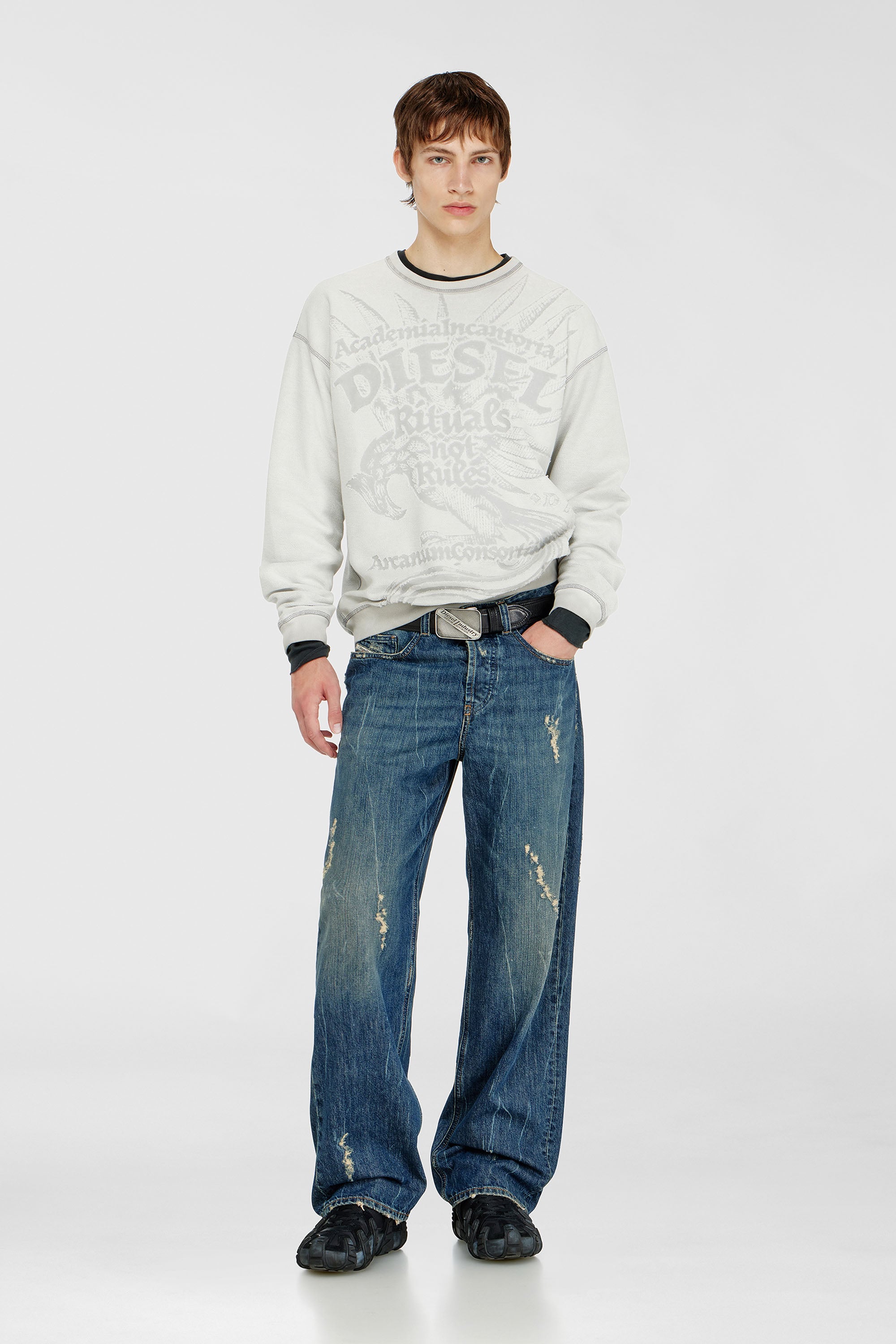 Diesel - S-ARON-RAW, Male's Sweatshirt with d&eacute;vor&eacute; print in Light Grey - 2