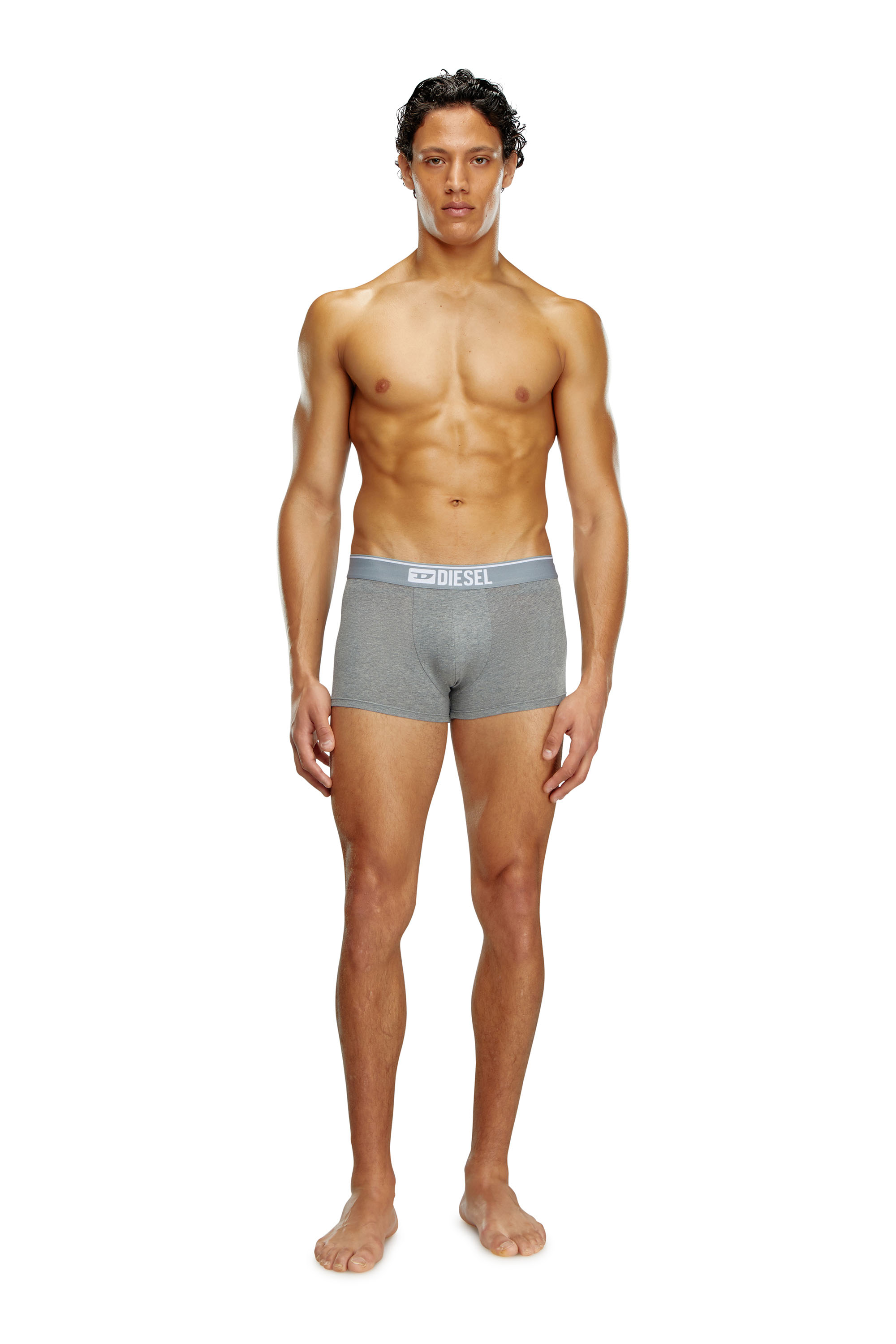 Diesel - UMBX-DAMIENTHREEPACK, Male's Three-pack of plain boxer in White/Grey - 2