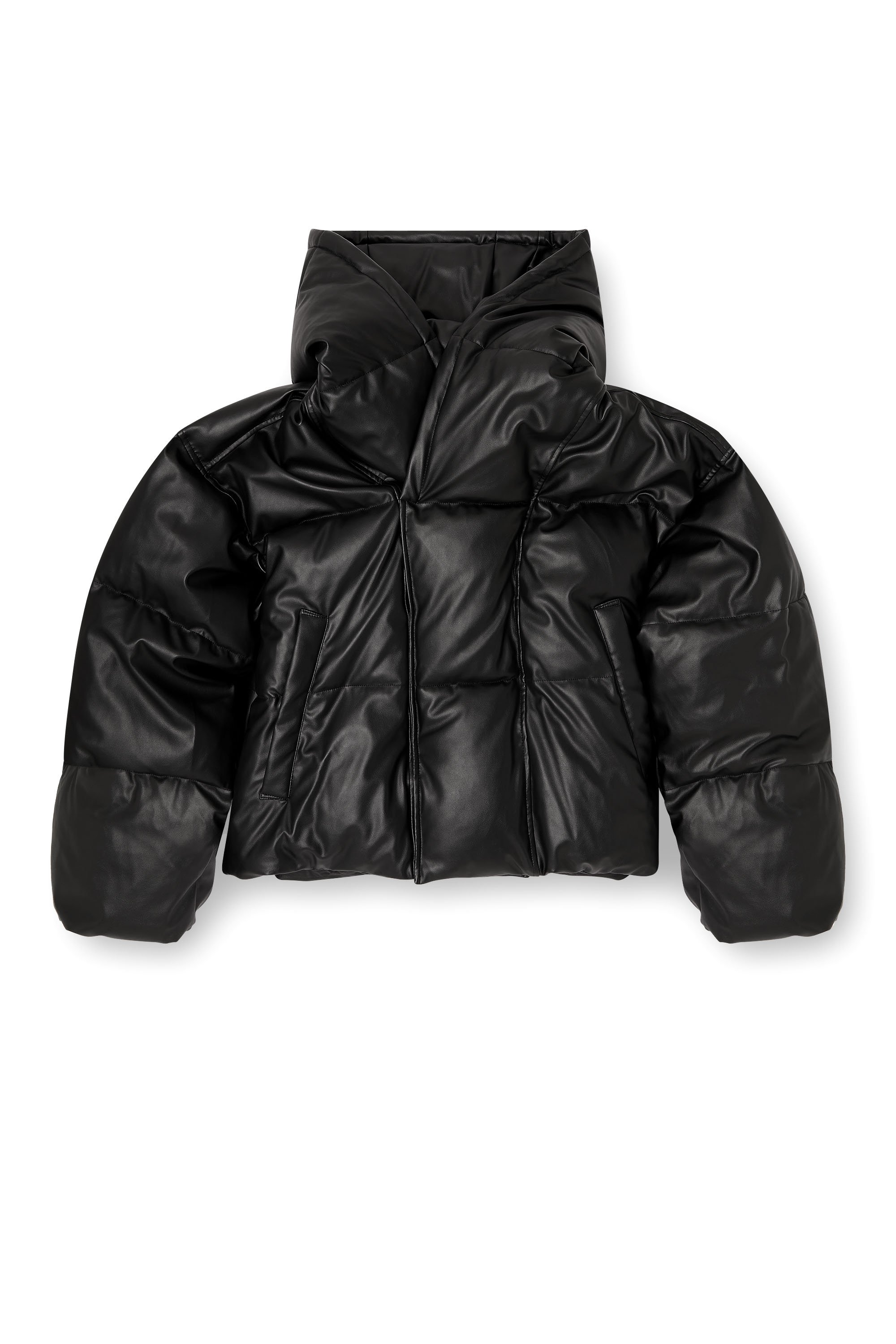 Diesel - W-MYLEY, Male's Hooded puffer jacket in coated fabric in Black - 3