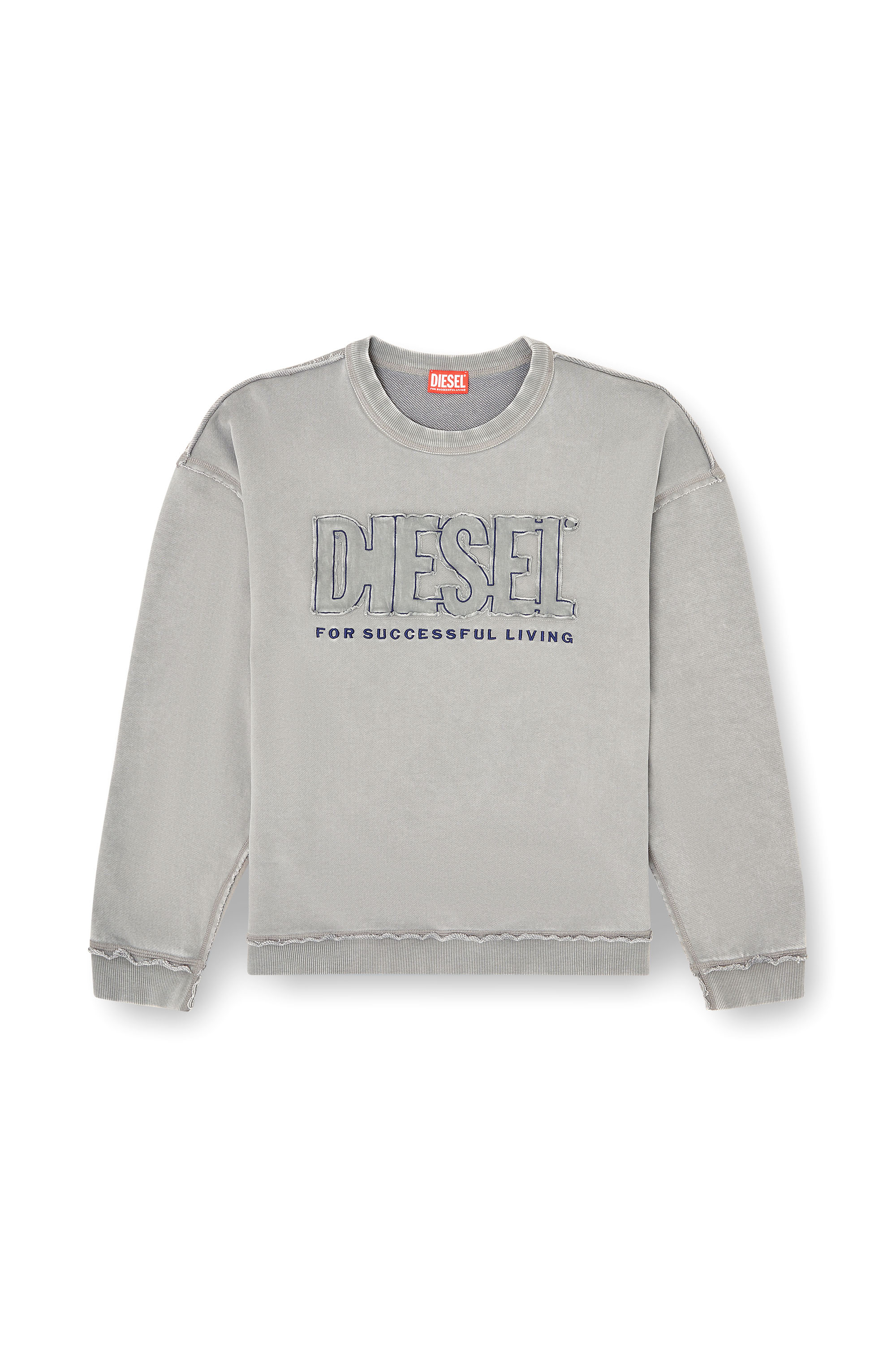 Diesel - S-BOXT-RAW-V1, Sweat-shirt en coton avec logo appliqué Homme in Gris - 2