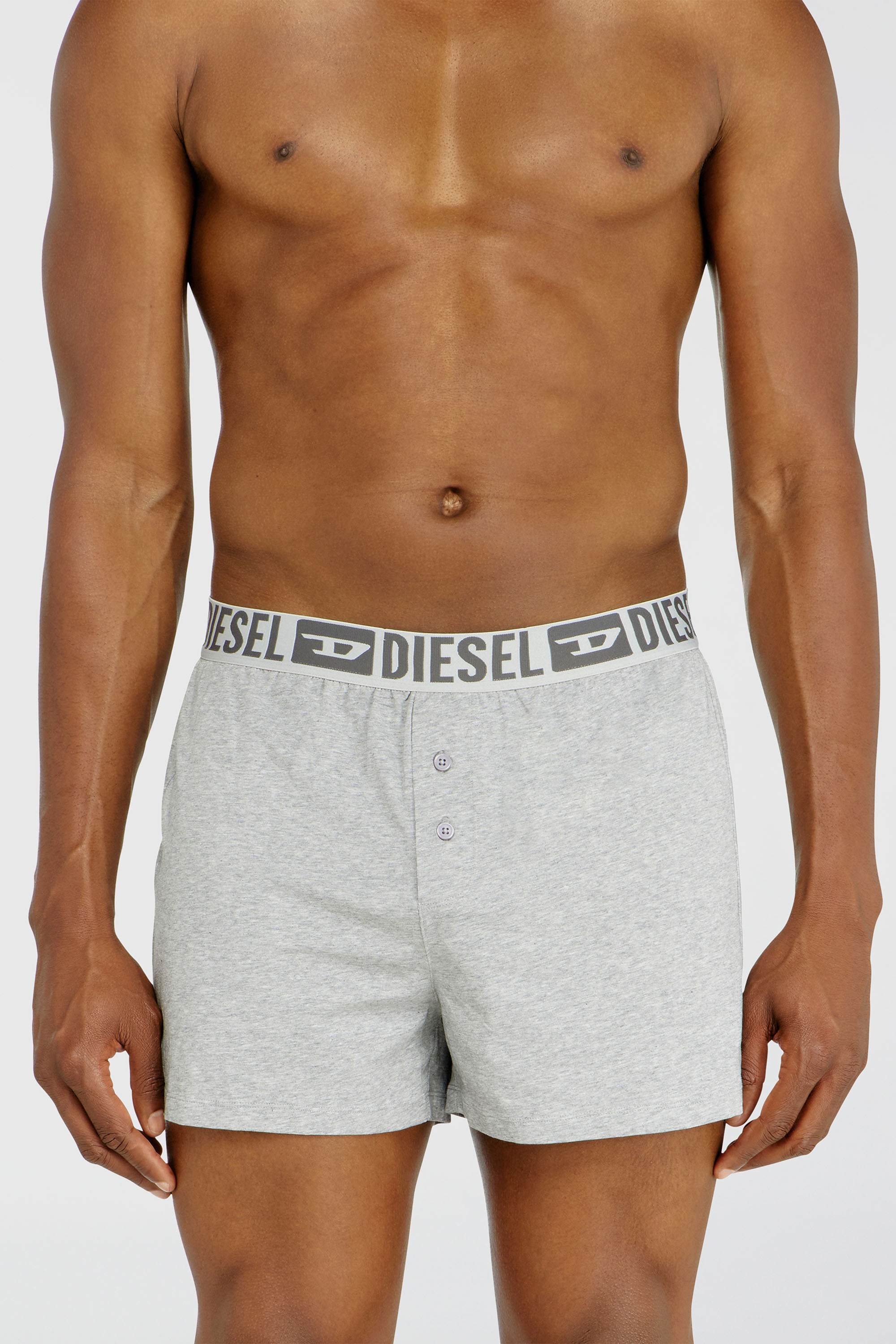 Diesel - STARKIE-D-CORE-2PACK, Male's Two-pack boxer shorts in stretch cotton in Grey - 2