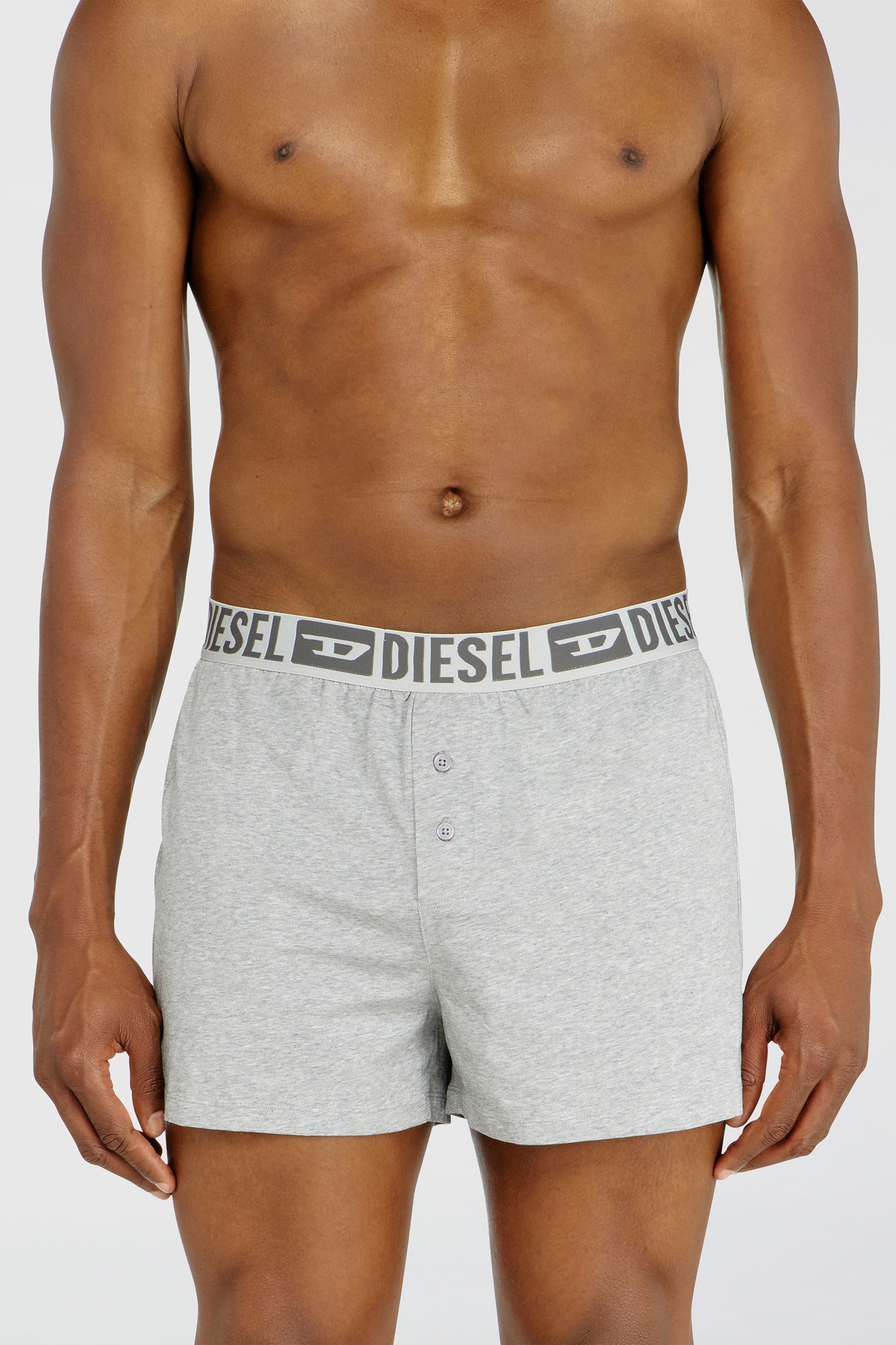 Diesel - STARKIE-D-CORE-2PACK, Lot de deux boxers en coton stretch Homme in Gris - 3