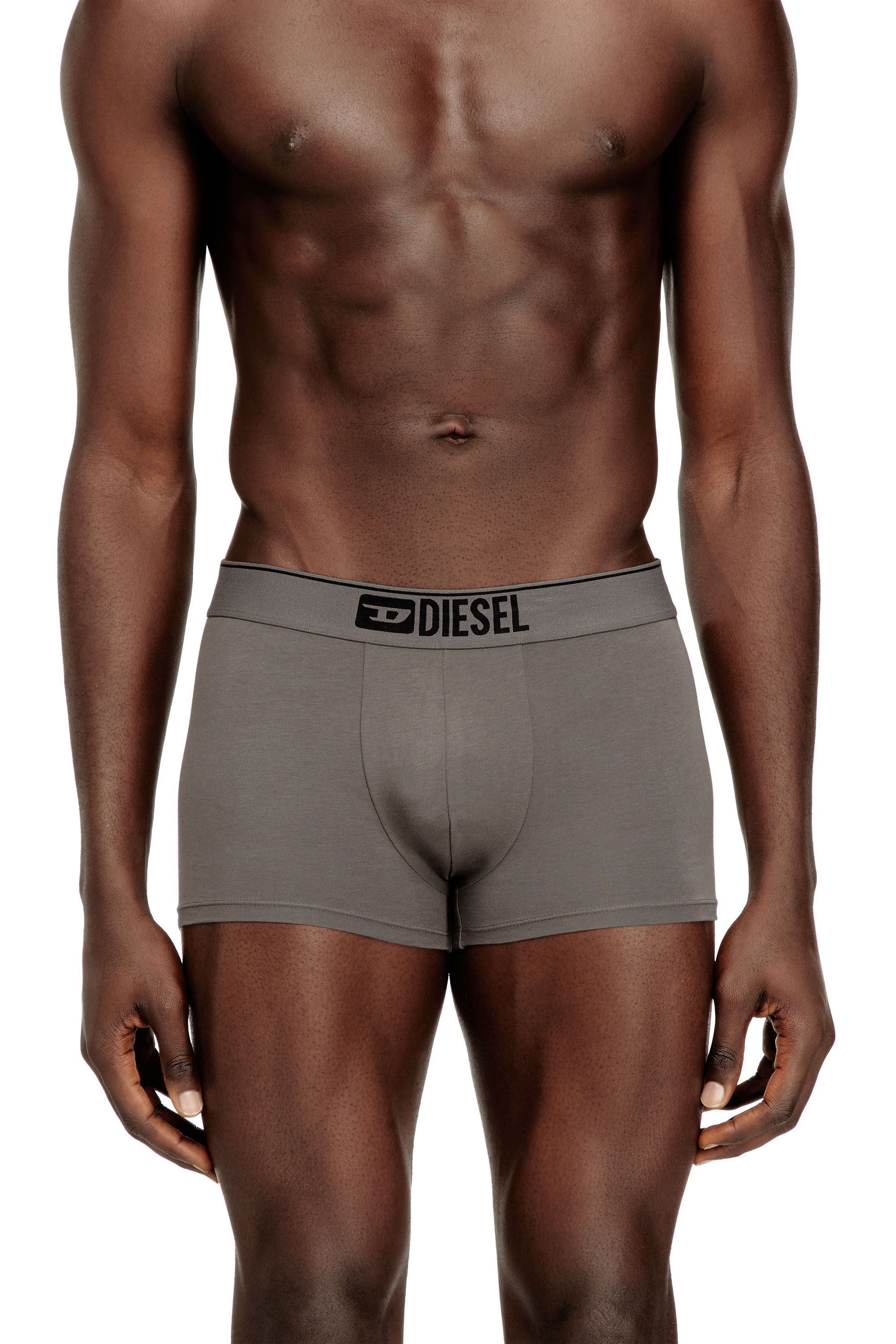 Diesel - UMBX-DAMIENTHREEPACK, Man's Three-pack of plain boxer in Black/Grey - 1