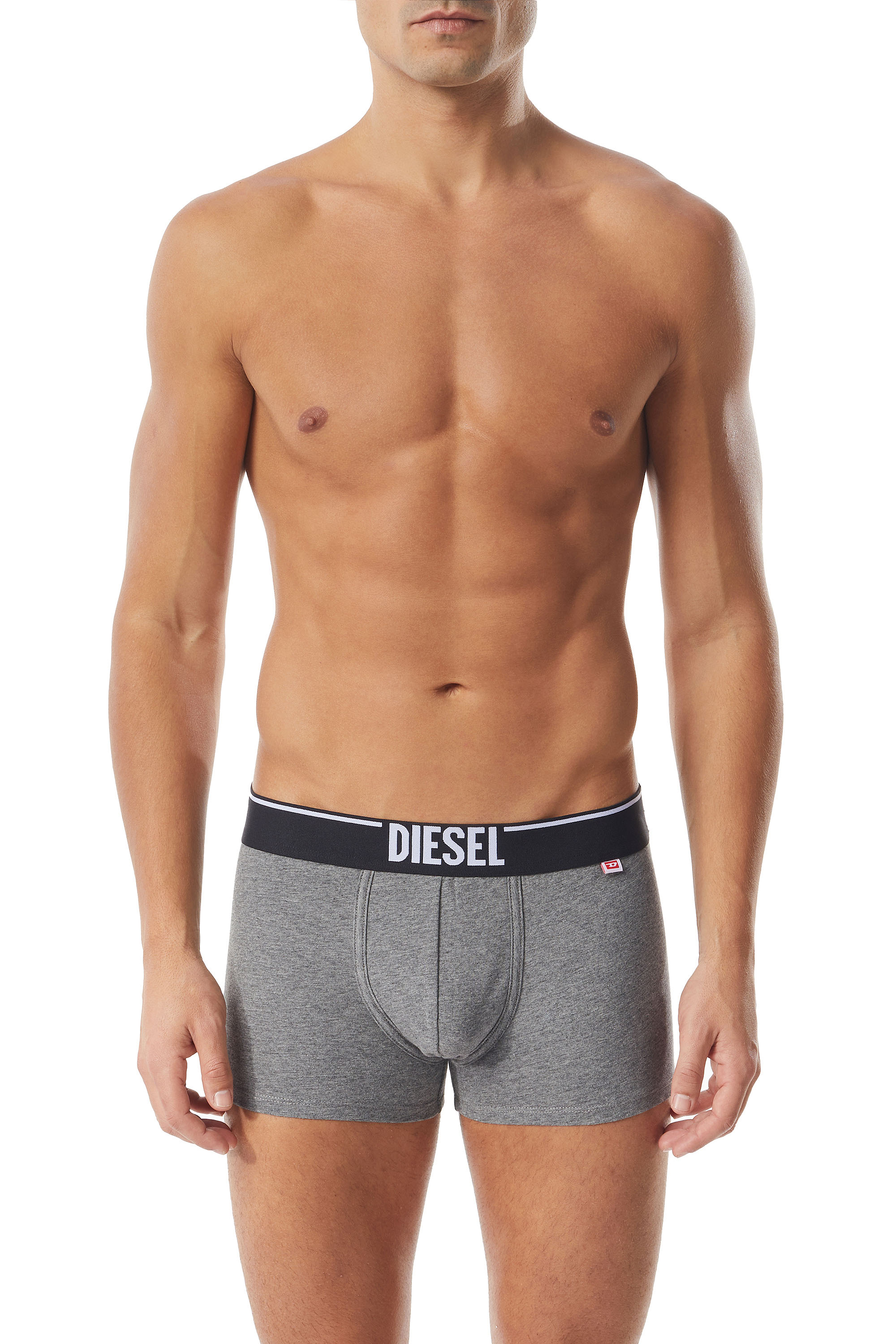 UMBX-DAMIENTWOPACK Man: Two-pack of boxer briefs with D tag | Diesel