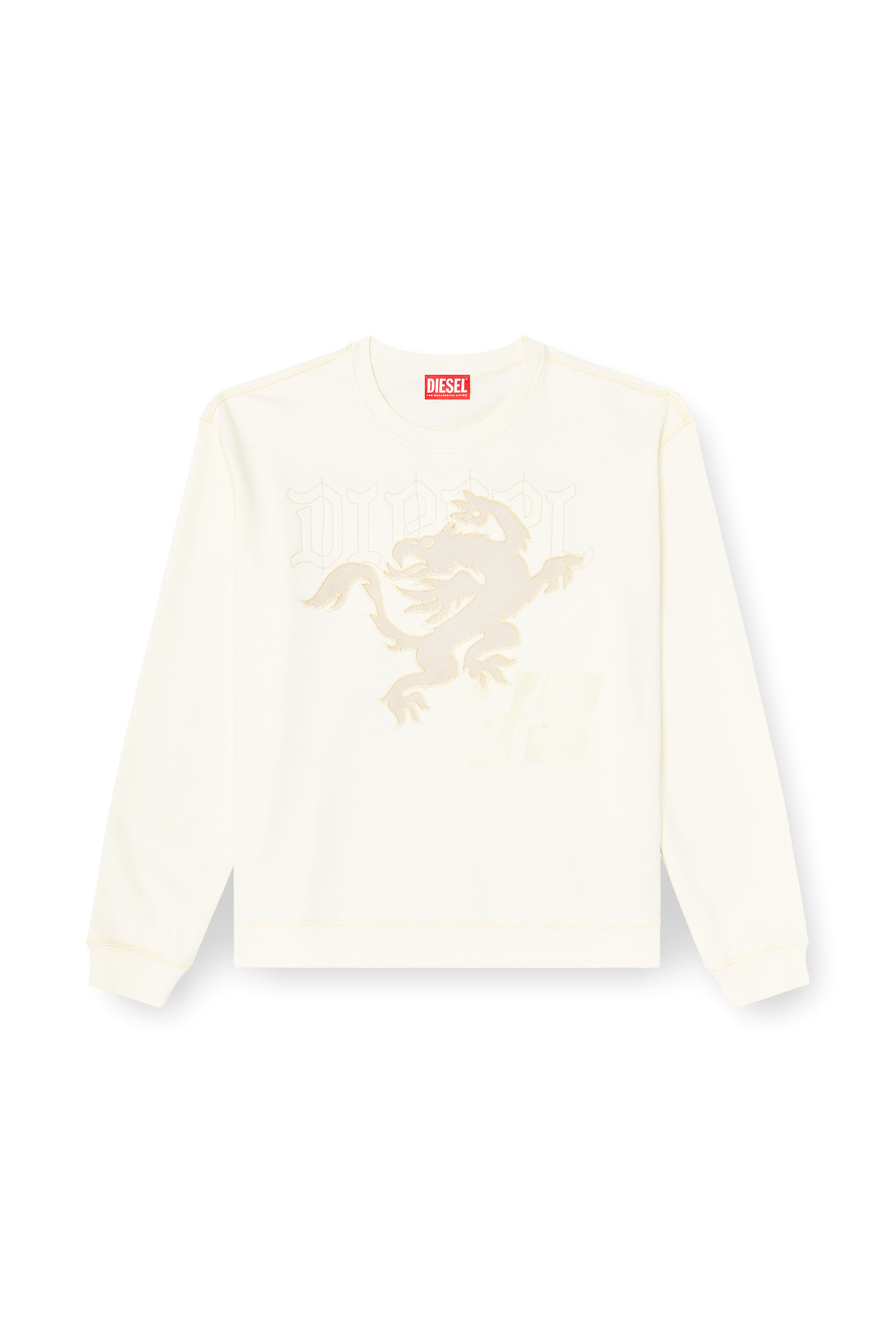 Diesel - S-NORM-AA3, Male's Sweatshirt with embroidery and print in null - 3