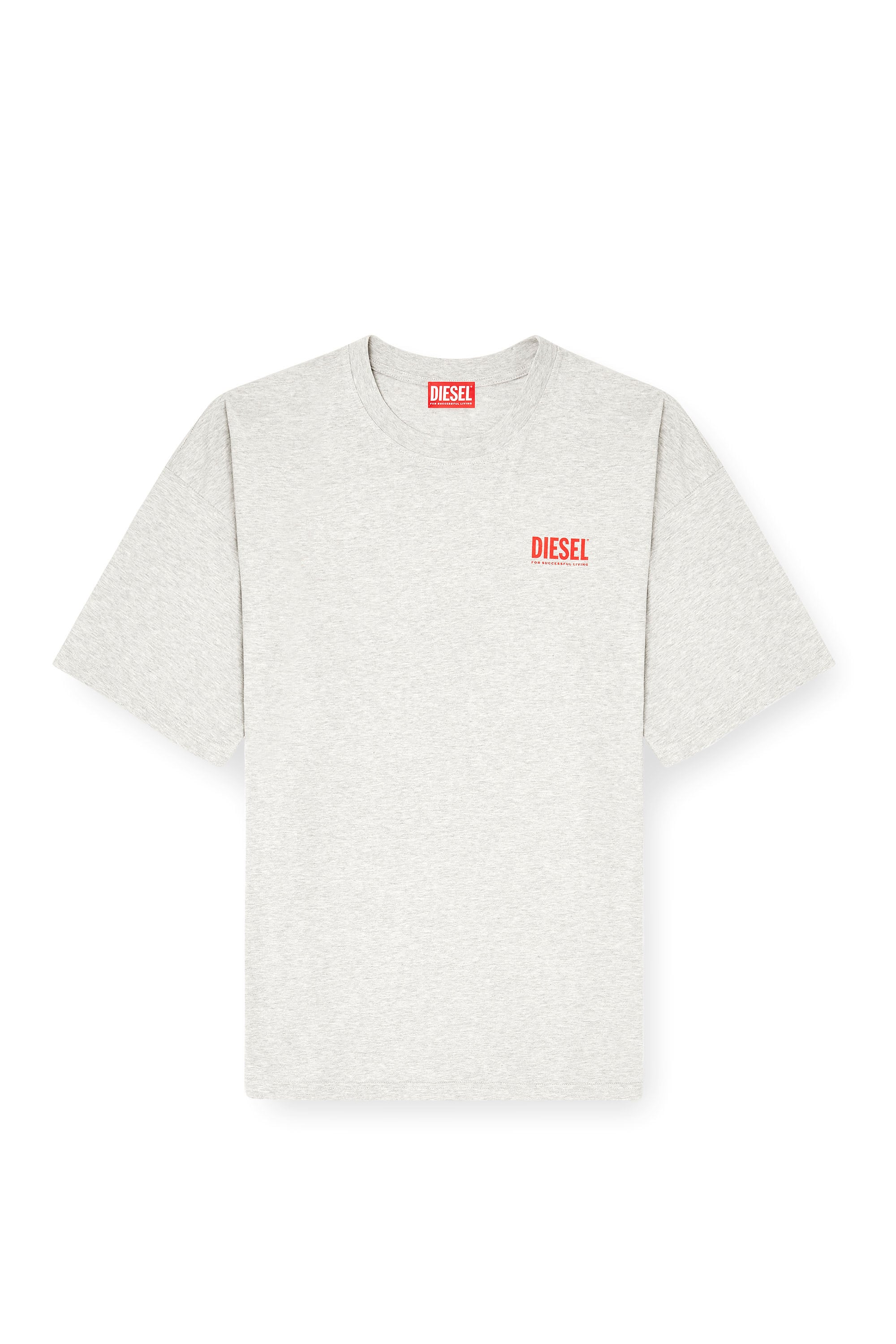 Diesel - T-BOXT-BISK, Male's Cotton T-shirt with Diesel Biscotto print in Light Grey - 2