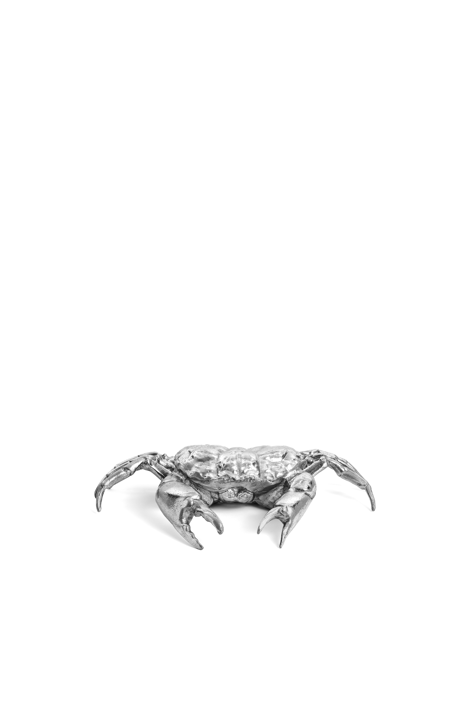 Wunderkammer "Holy crab home"