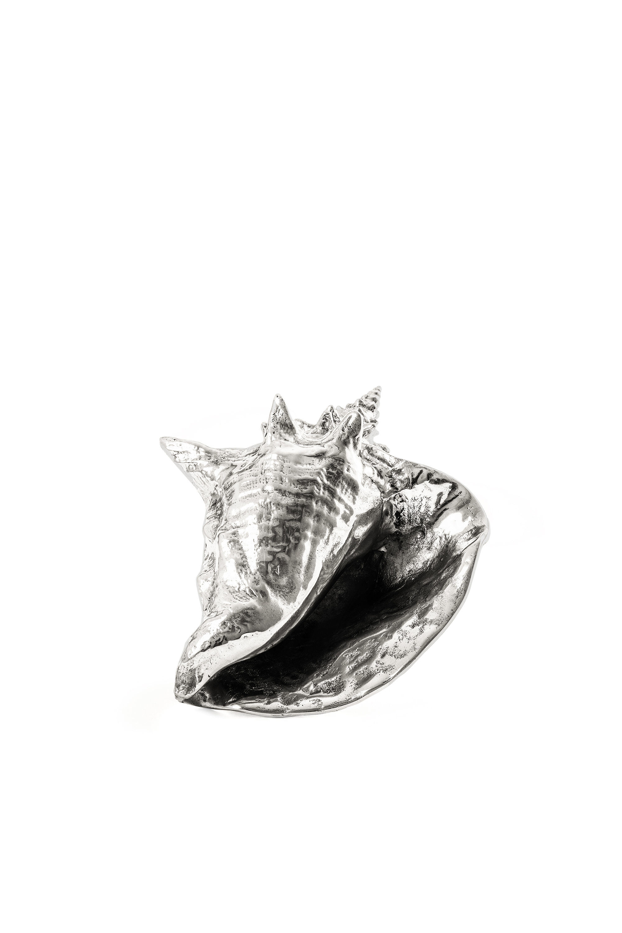 Diesel - 10894 WUNDERKAMMER, "Helter Shellter" Wunderkammer Shell Unisex in Plateado - 3