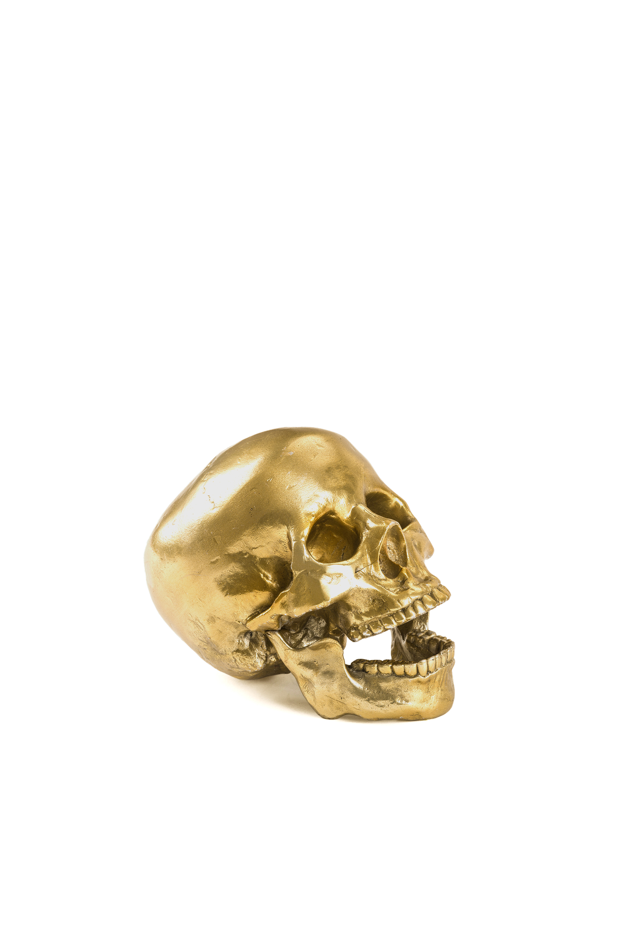 Diesel - 10891 Wunderkammer, Unisex's "Culture Skullture" Wunderkammer Human Skull in Gold - 3