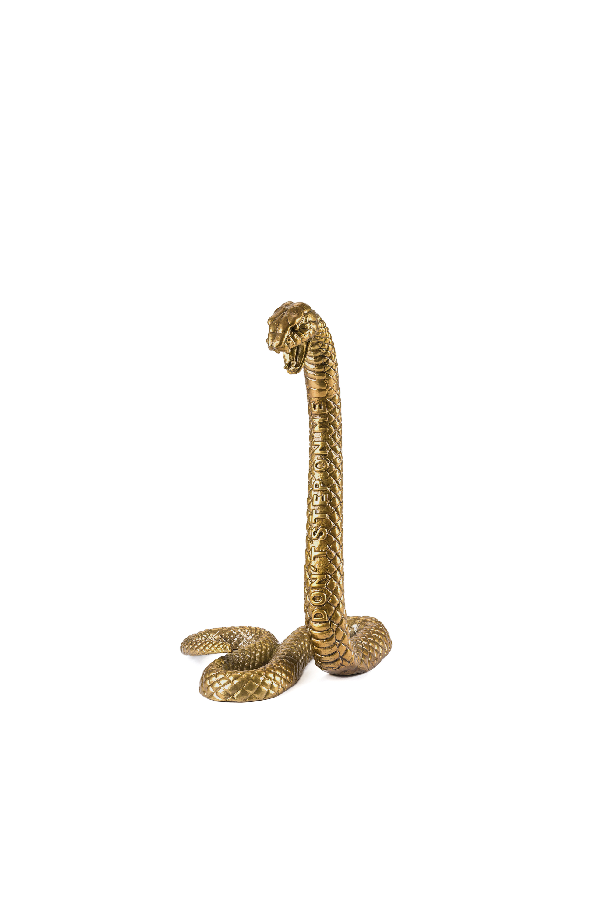 "Don't Step On Me" Wunderkammer Snake