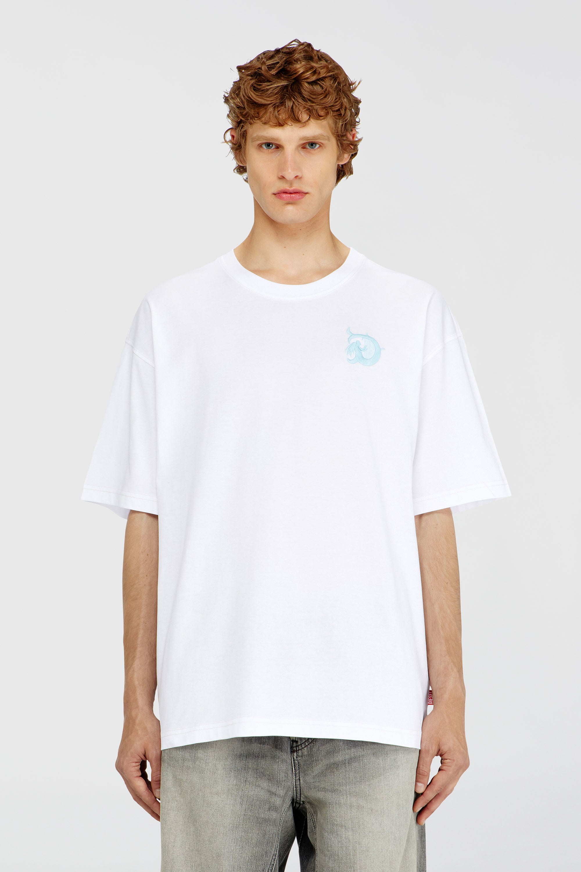 Diesel - T-BOXT-AA11, Man's Jersey T-shirt with flocked print in White - 1
