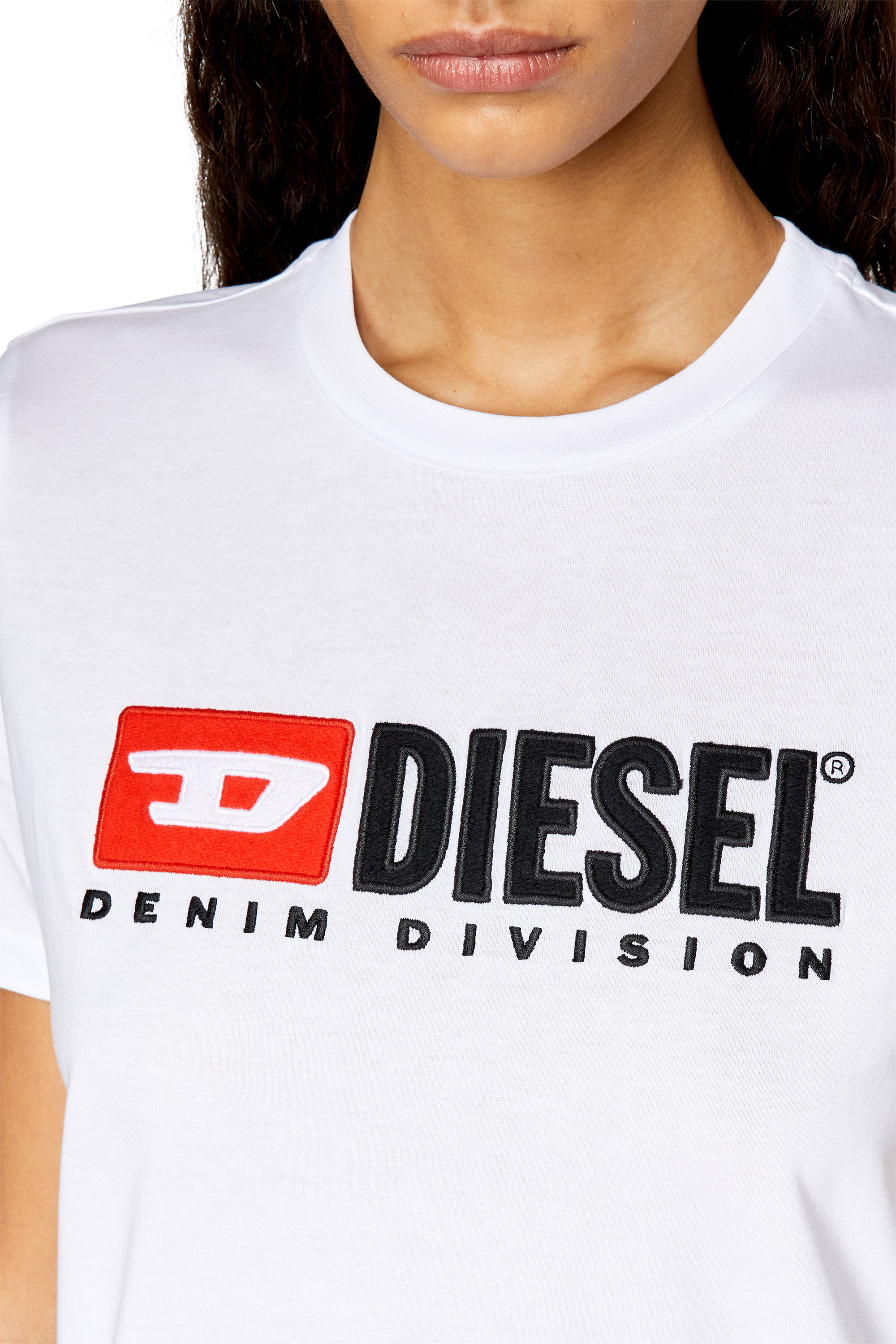 T-REG-DIV, 