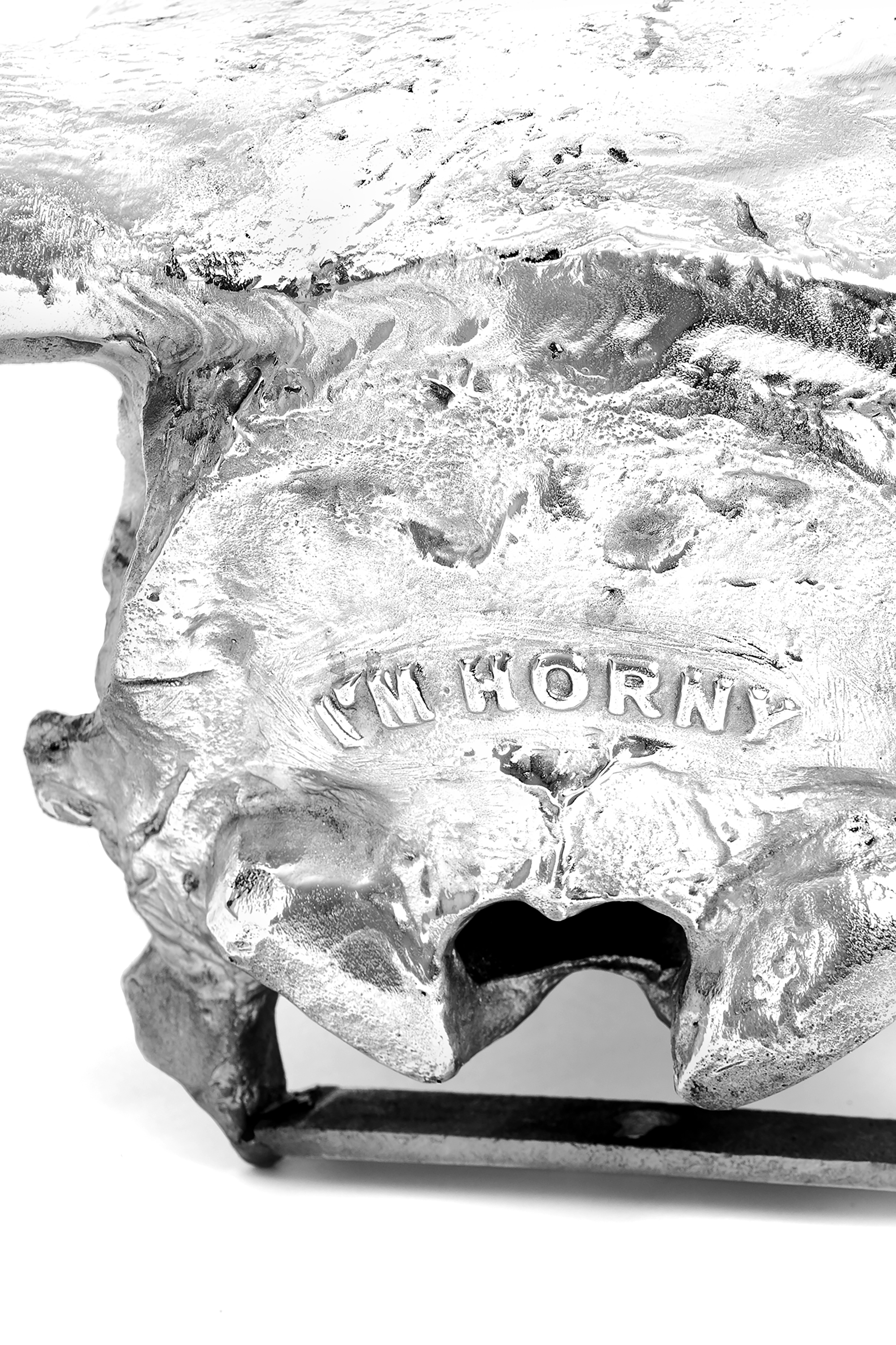 Diesel - 10899 WUNDERKAMMER, Wunderkammer "I'm horny" Unisex in Plateado - 4