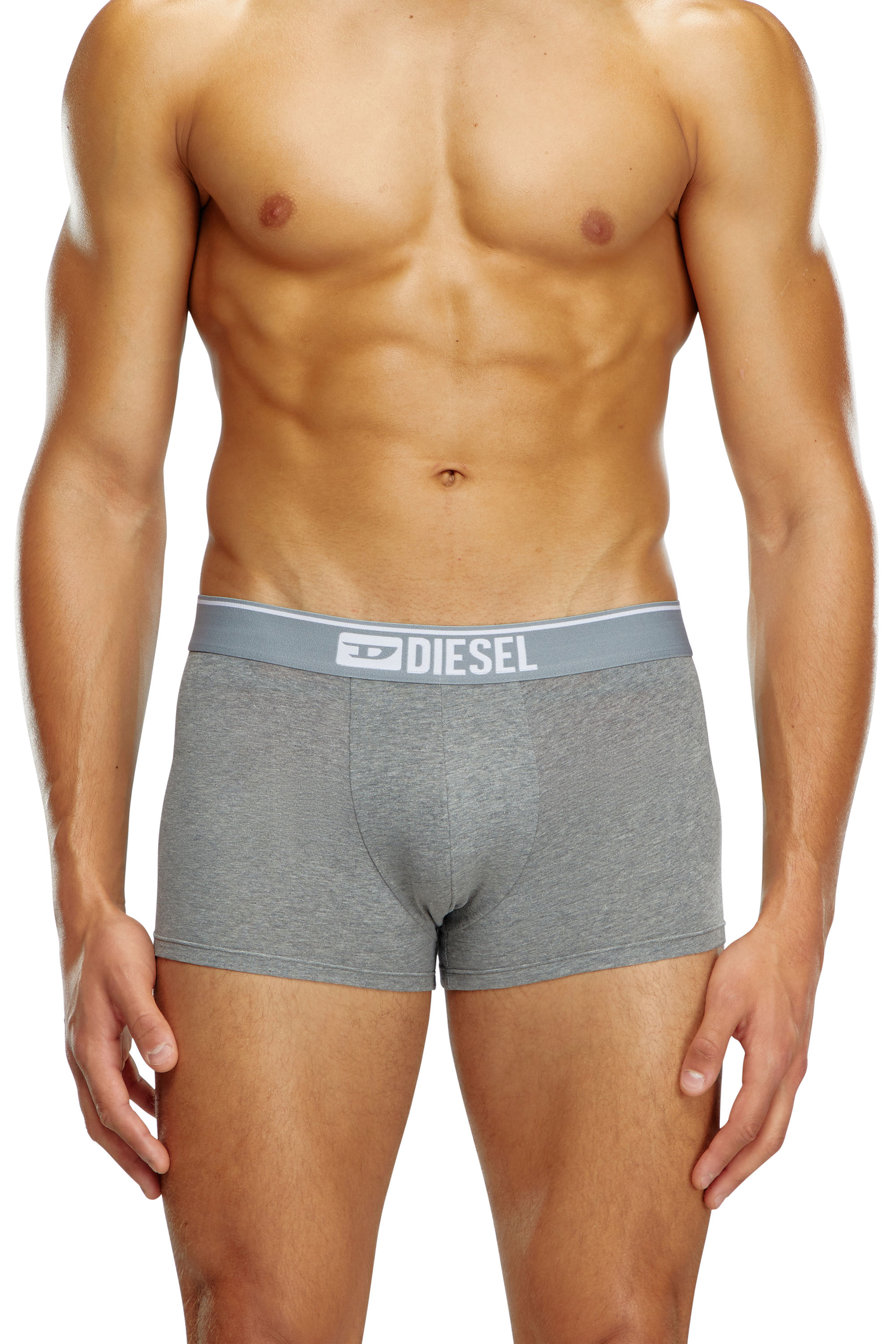 Diesel - UMBX-DAMIENTHREEPACK, Male's Three-pack of plain boxer in White/Grey - 1