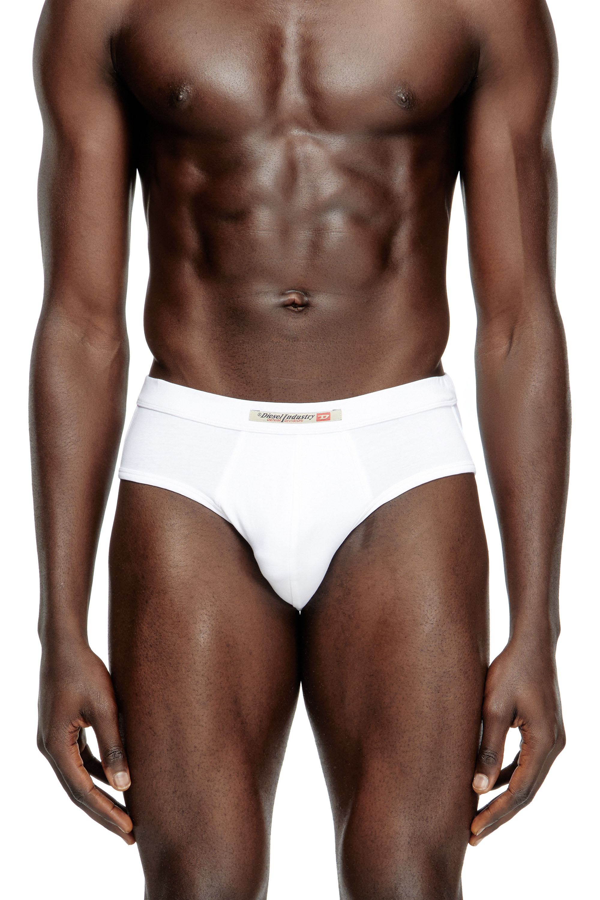 Diesel - ANDY-DNM-2PACK, Lot de 2 slips avec drapeau Diesel Industry Homme in Polychrome - 3