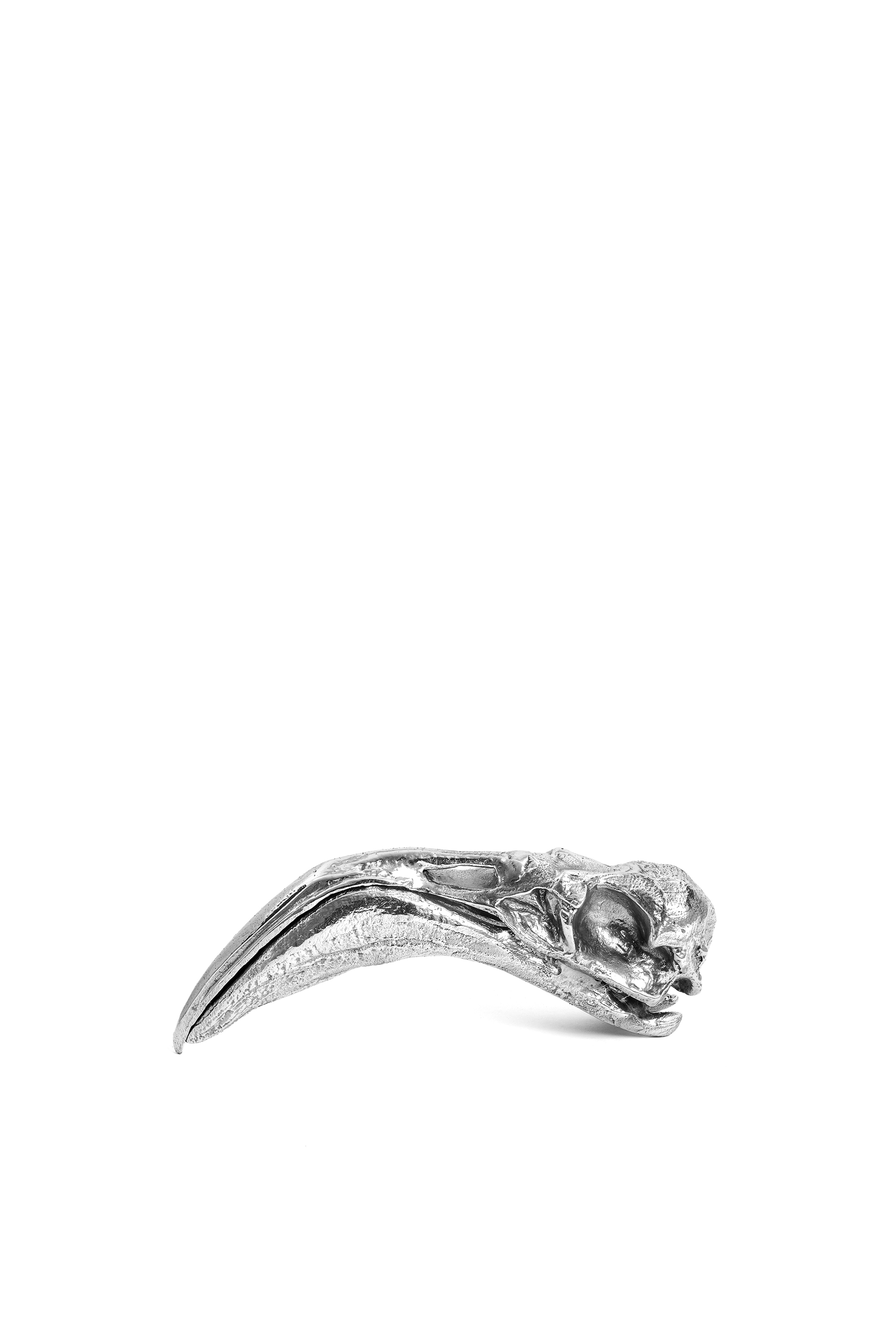 Wunderkammer "Flamingo Skull"
