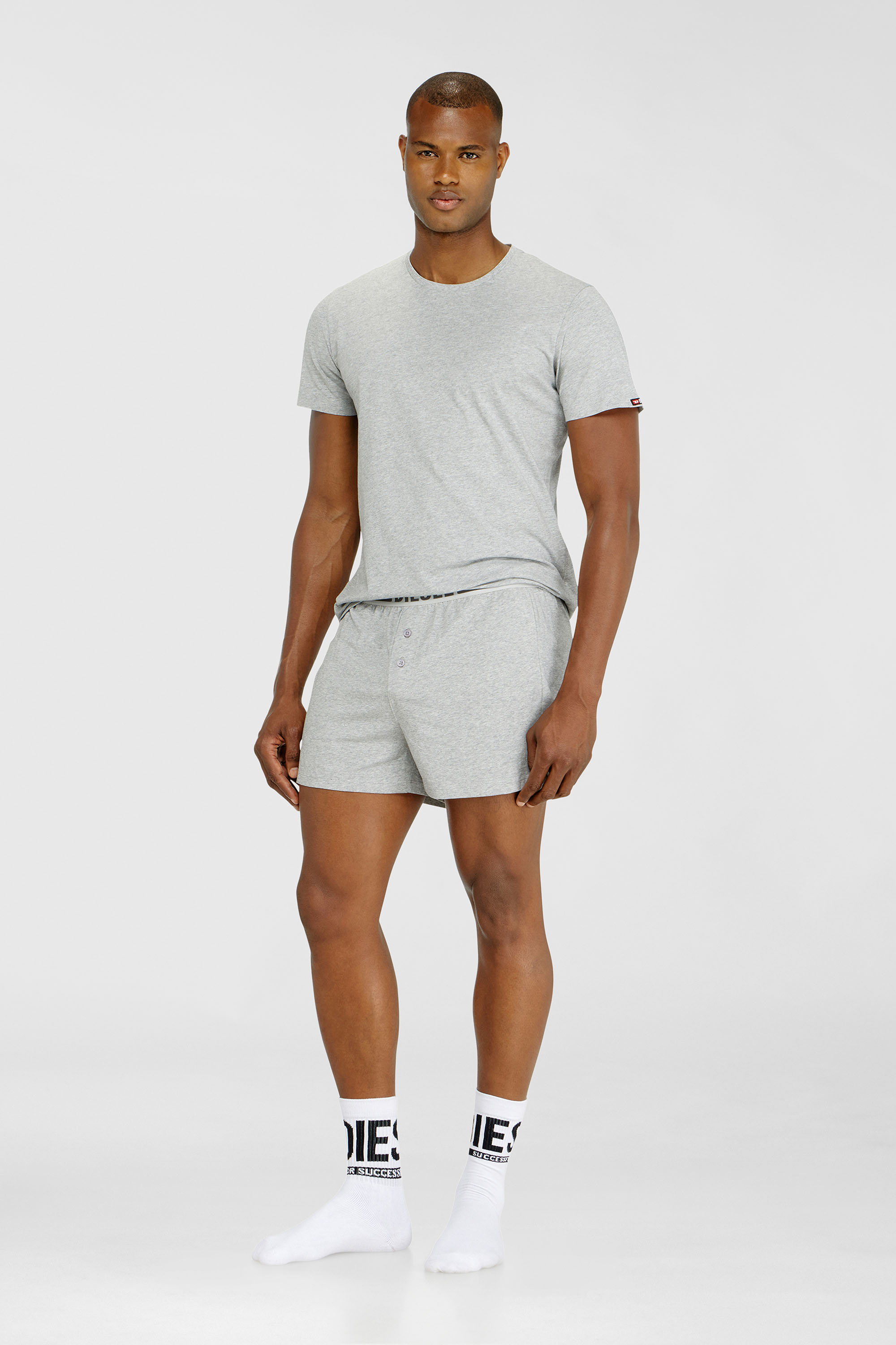 Diesel - RANDAL-D-CORE-3PACK, Male's Set of 3 cotton T-shirts in White/Grey - 2