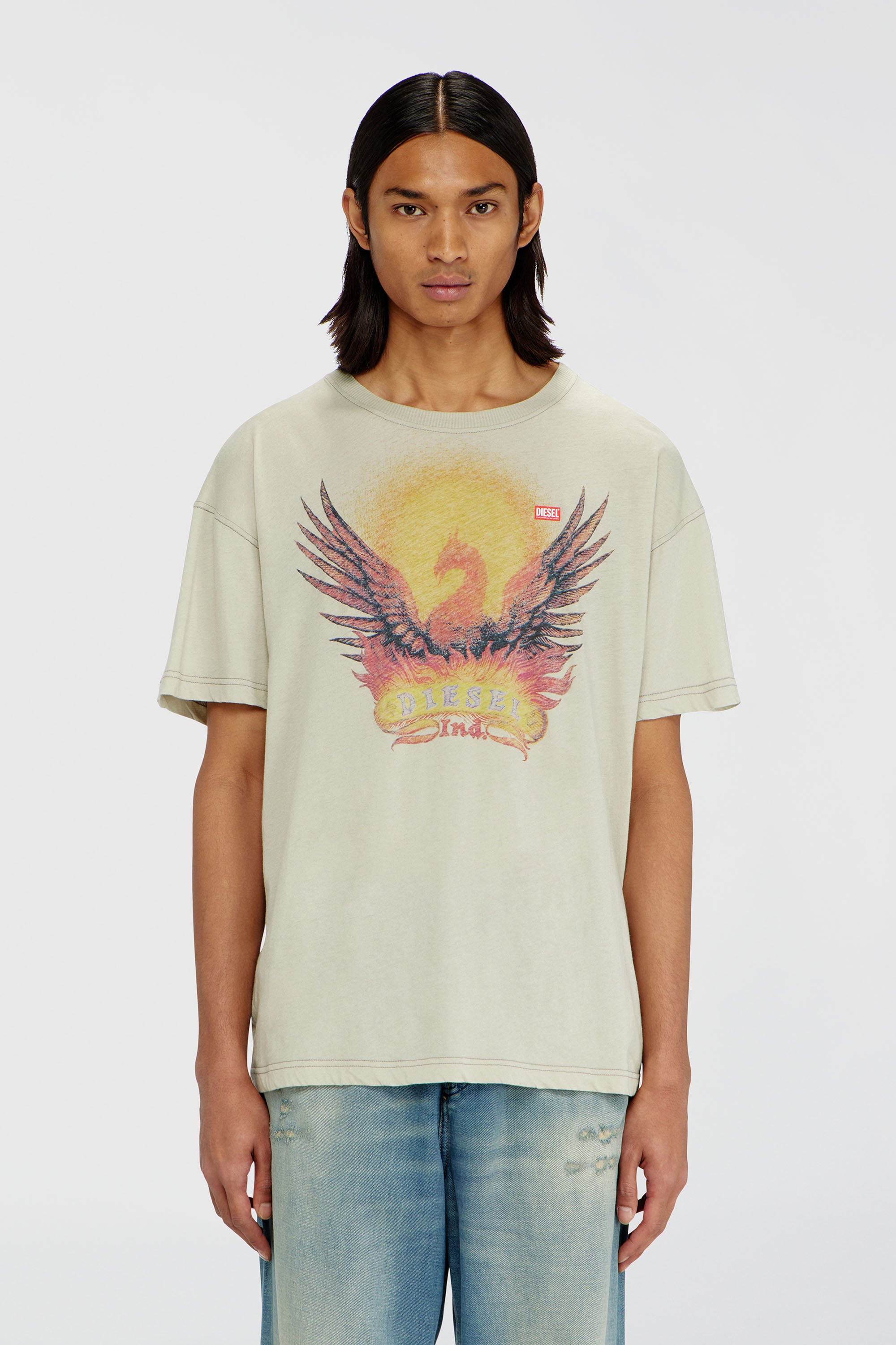 Diesel - T-NORM-AA1, Man's Regular T-shirt with Phoenix print in Beige - 1