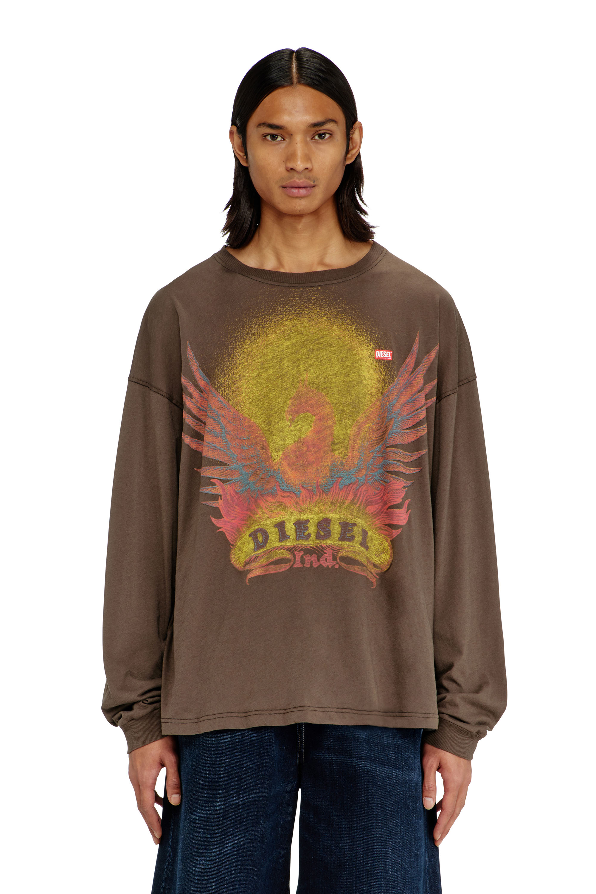 Diesel - T-BOXT-LS-AA1, Man's Long sleeve T-shirt with Phoenix graphic in Brown - 1