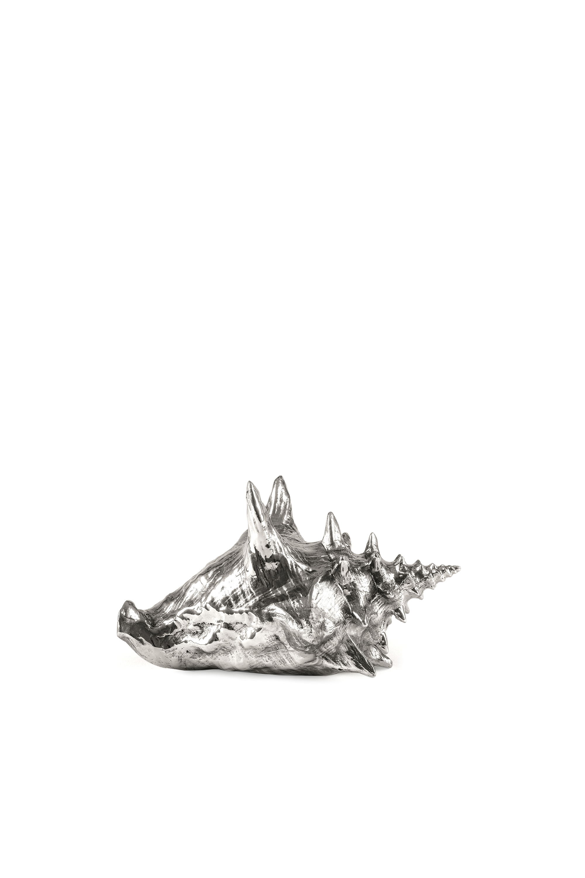 Diesel - 10894 WUNDERKAMMER, "Helter Shellter" Wunderkammer Shell Unisex in Plateado - 1