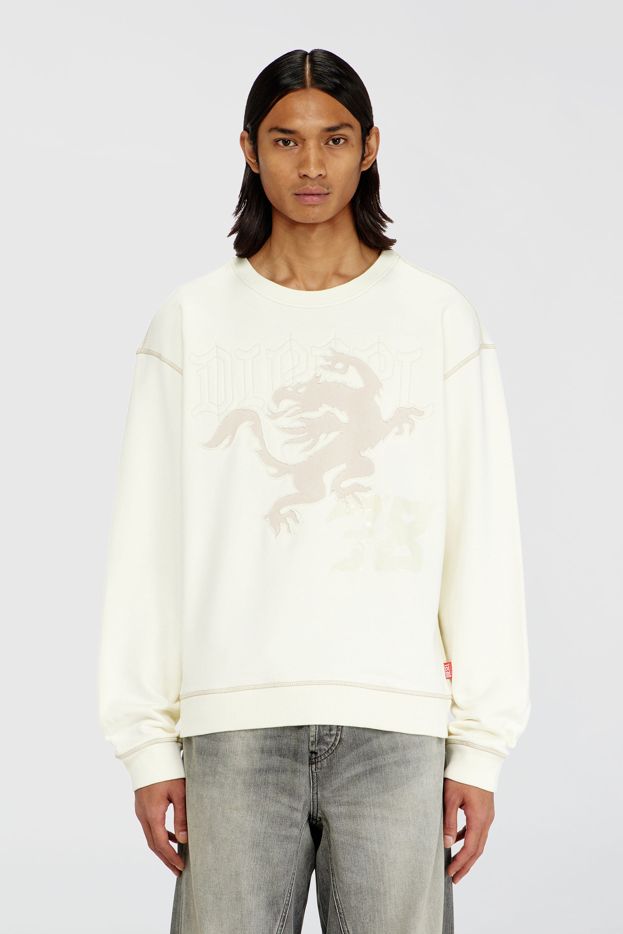 Diesel - S-NORM-AA3, Sweat-shirt avec broderie et imprim&eacute; Homme in Blanc - 1
