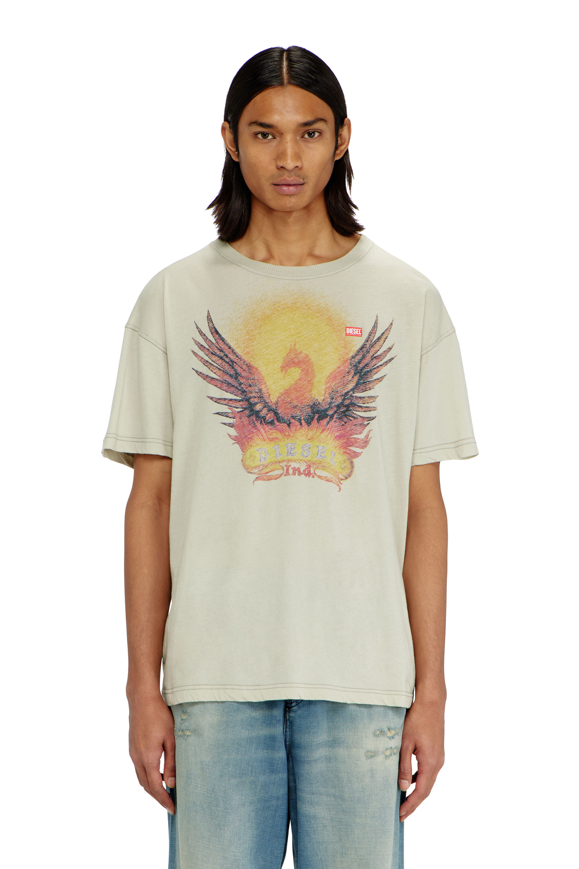 Diesel - T-NORM-AA1, Male's Regular T-shirt with Phoenix print in null - 1